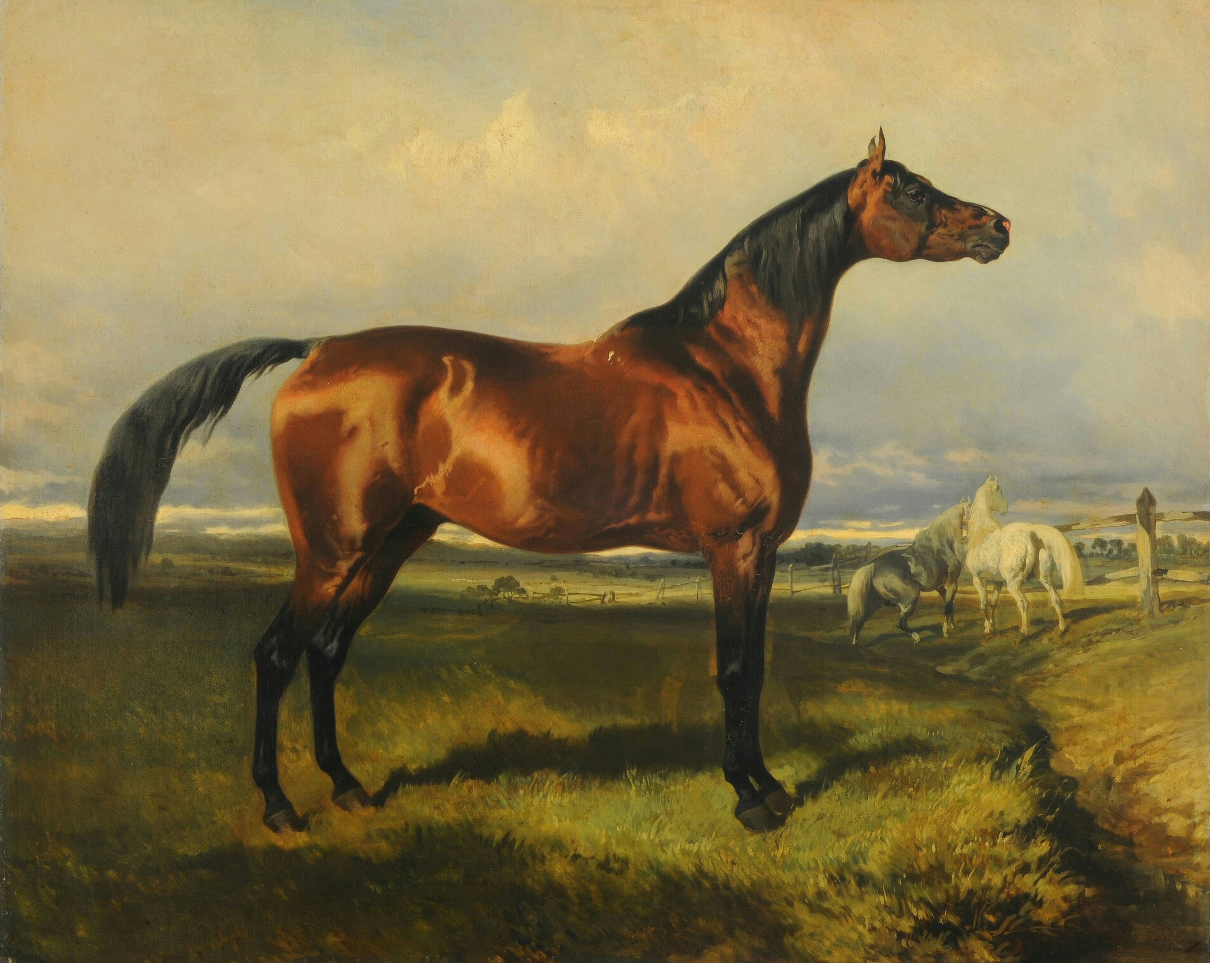 A bay horse stands in the foreground of a pasture while two pale horses gather by a wooden fence.