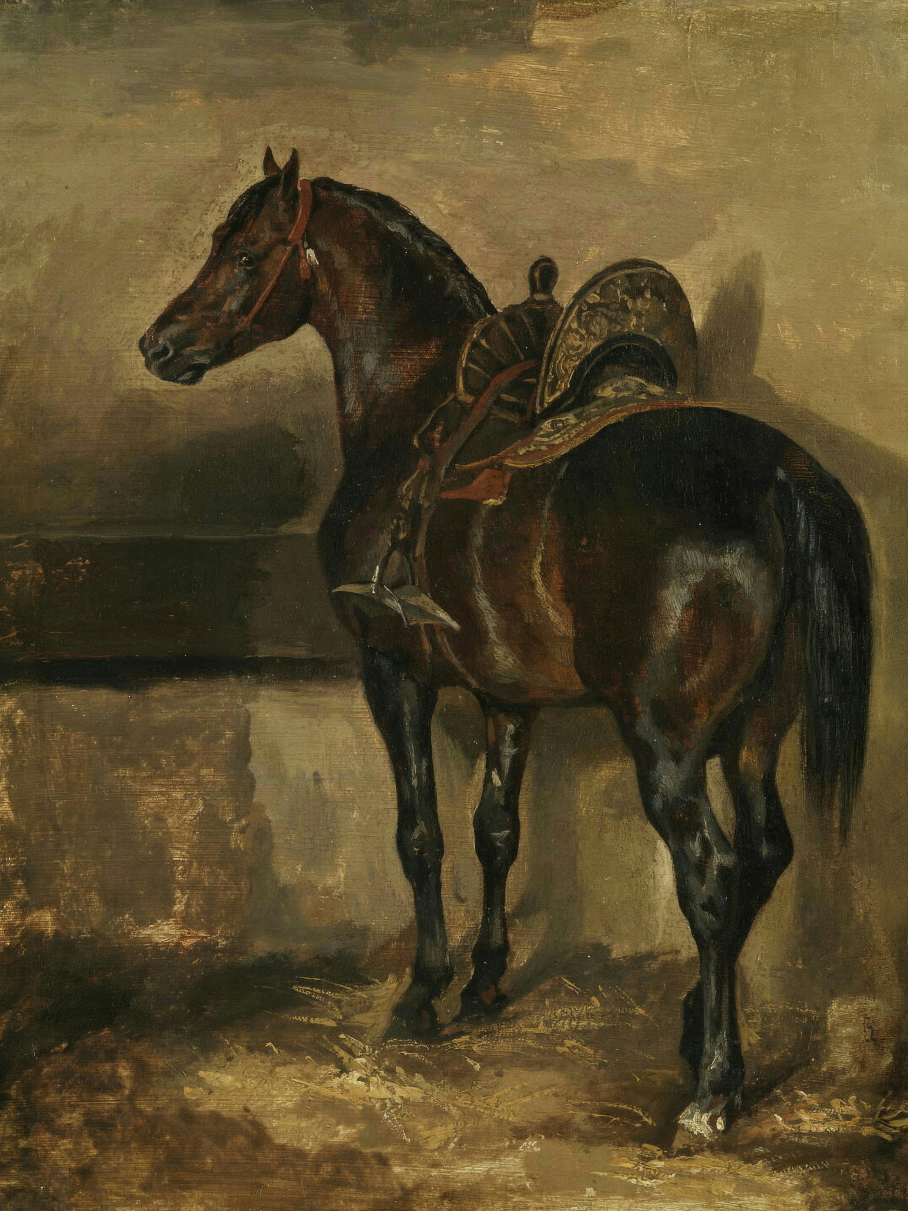 A dark bay horse in an ornate saddle cloth stands turned away in a shadowy stable.