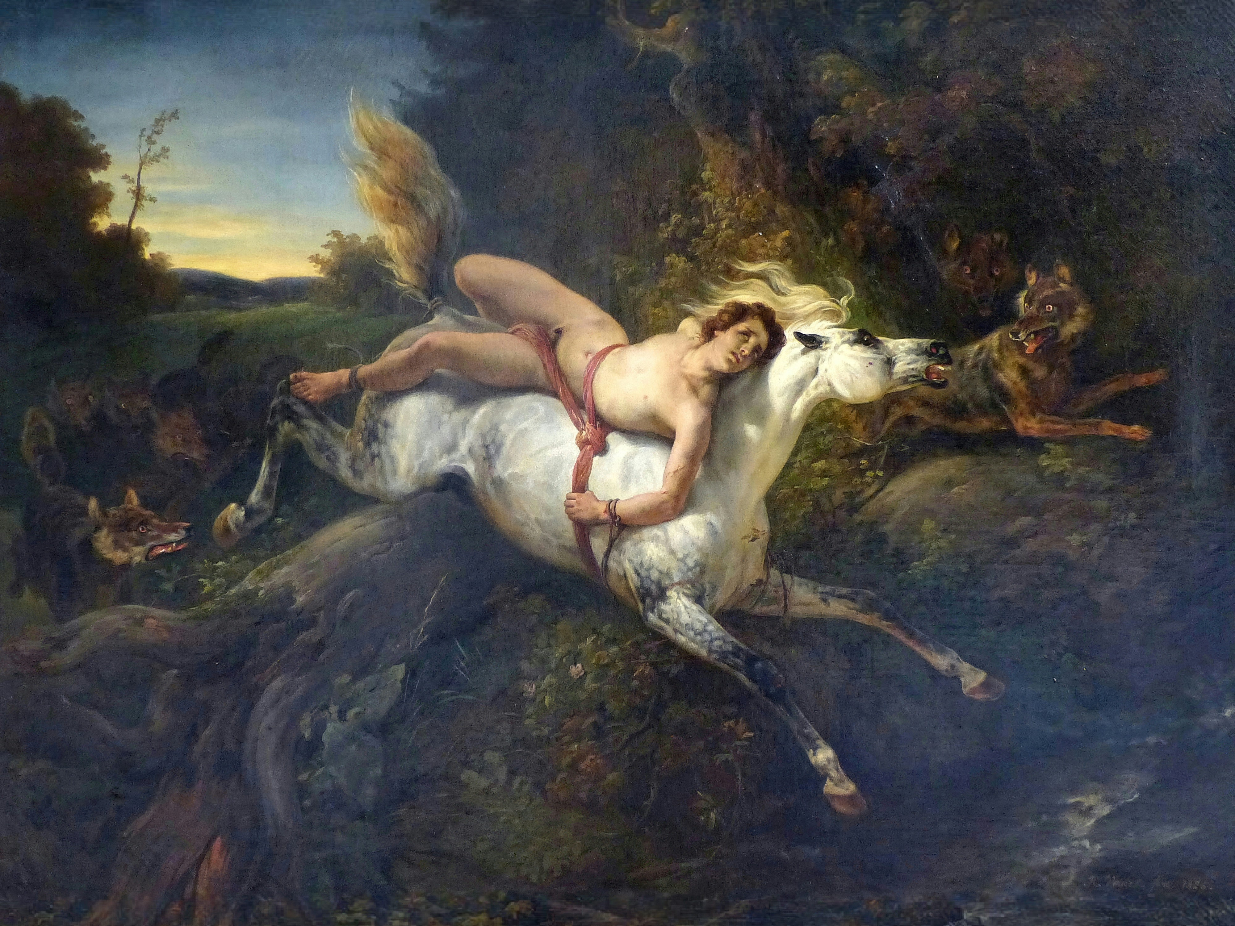 A wild white horse with a man tied to its back gallops through a dark forest as wolves leap at it.