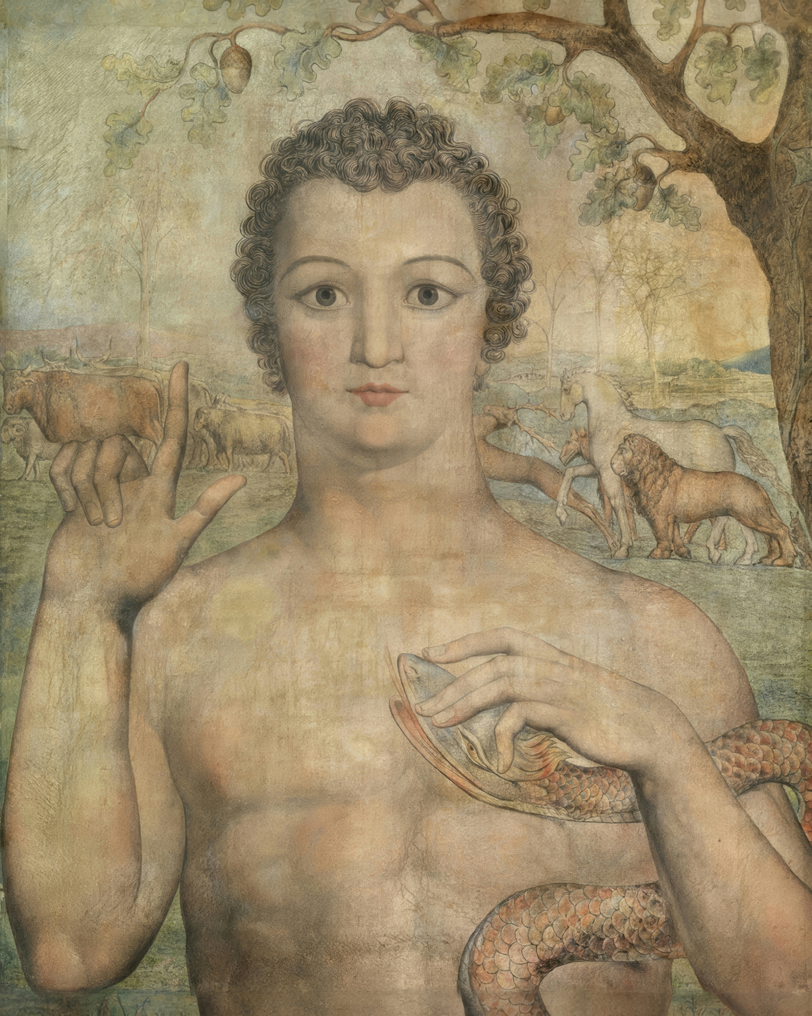 Adam Naming the Beasts