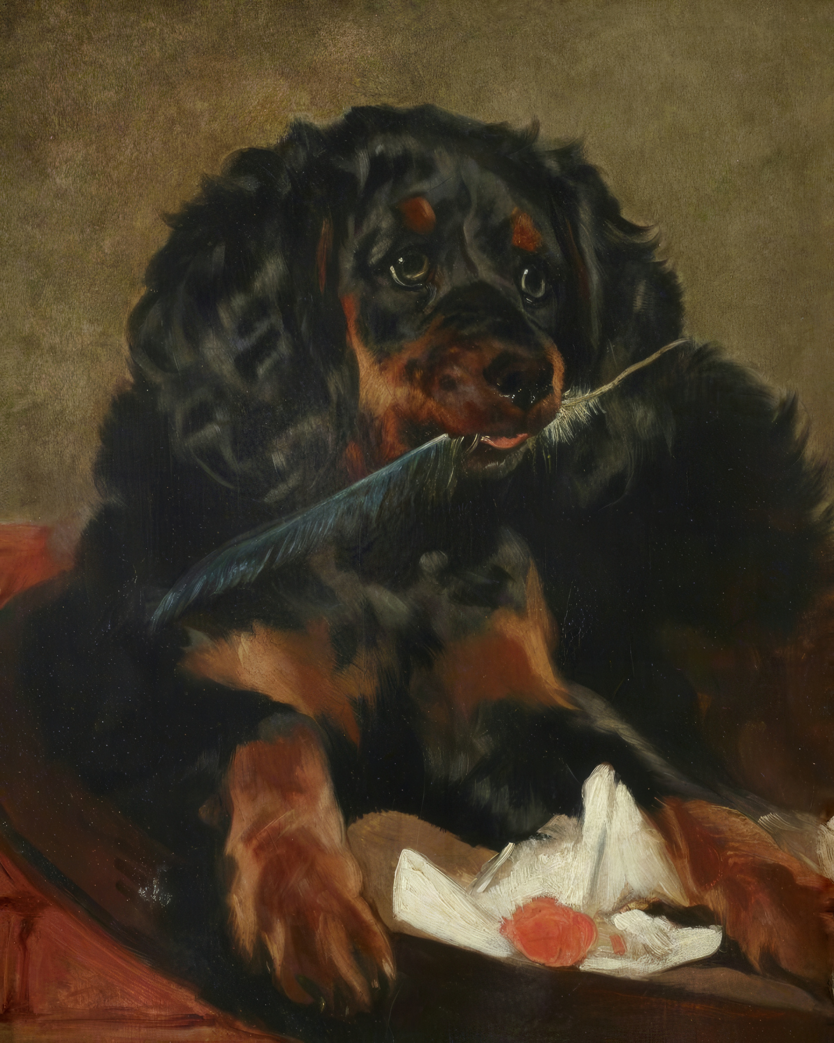 A black and tan spaniel holds a feather in its mouth, its paws on a sealed letter.