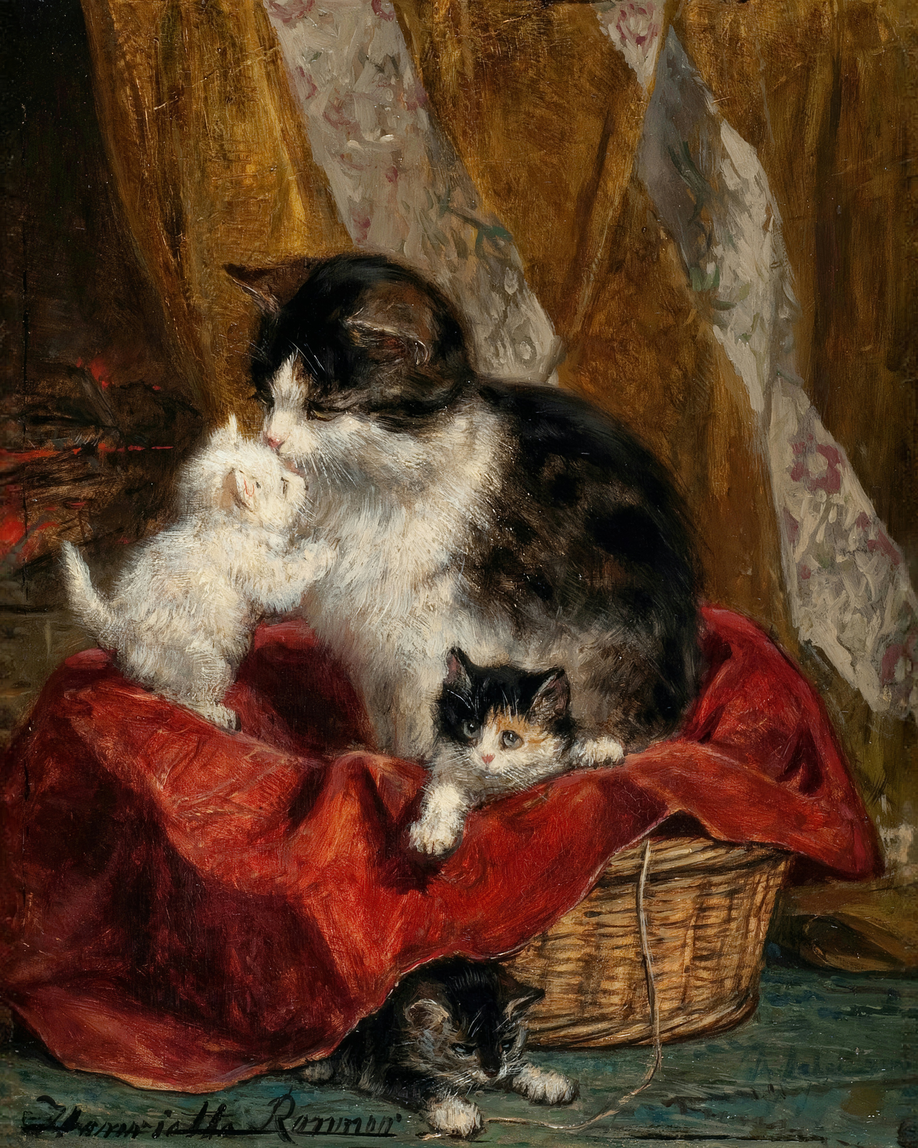 A black and white mother cat nuzzles a white kitten on a basket draped in red, with two other kittens nearby.