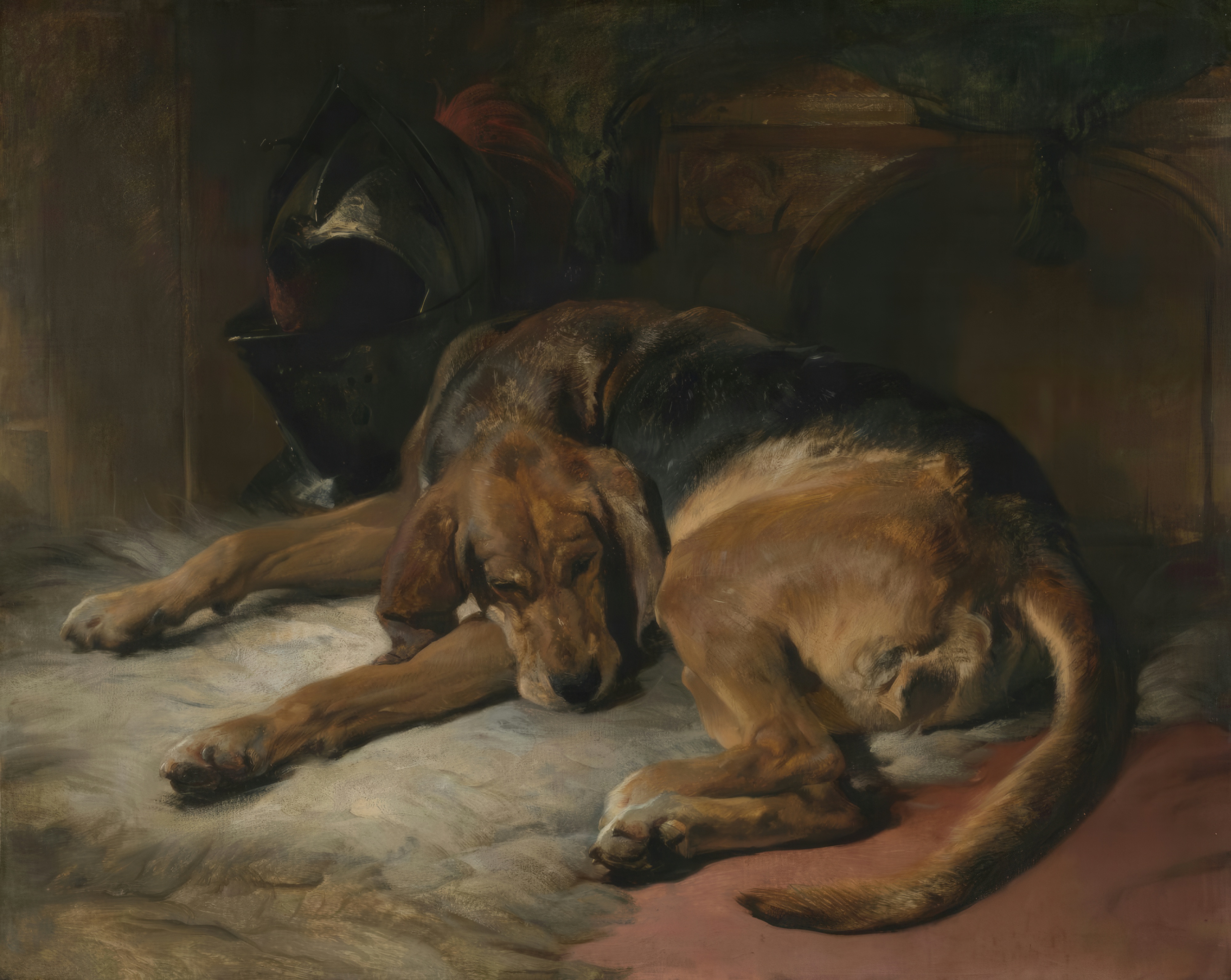 A large bloodhound lies asleep with its head resting on its paws against a dark background.