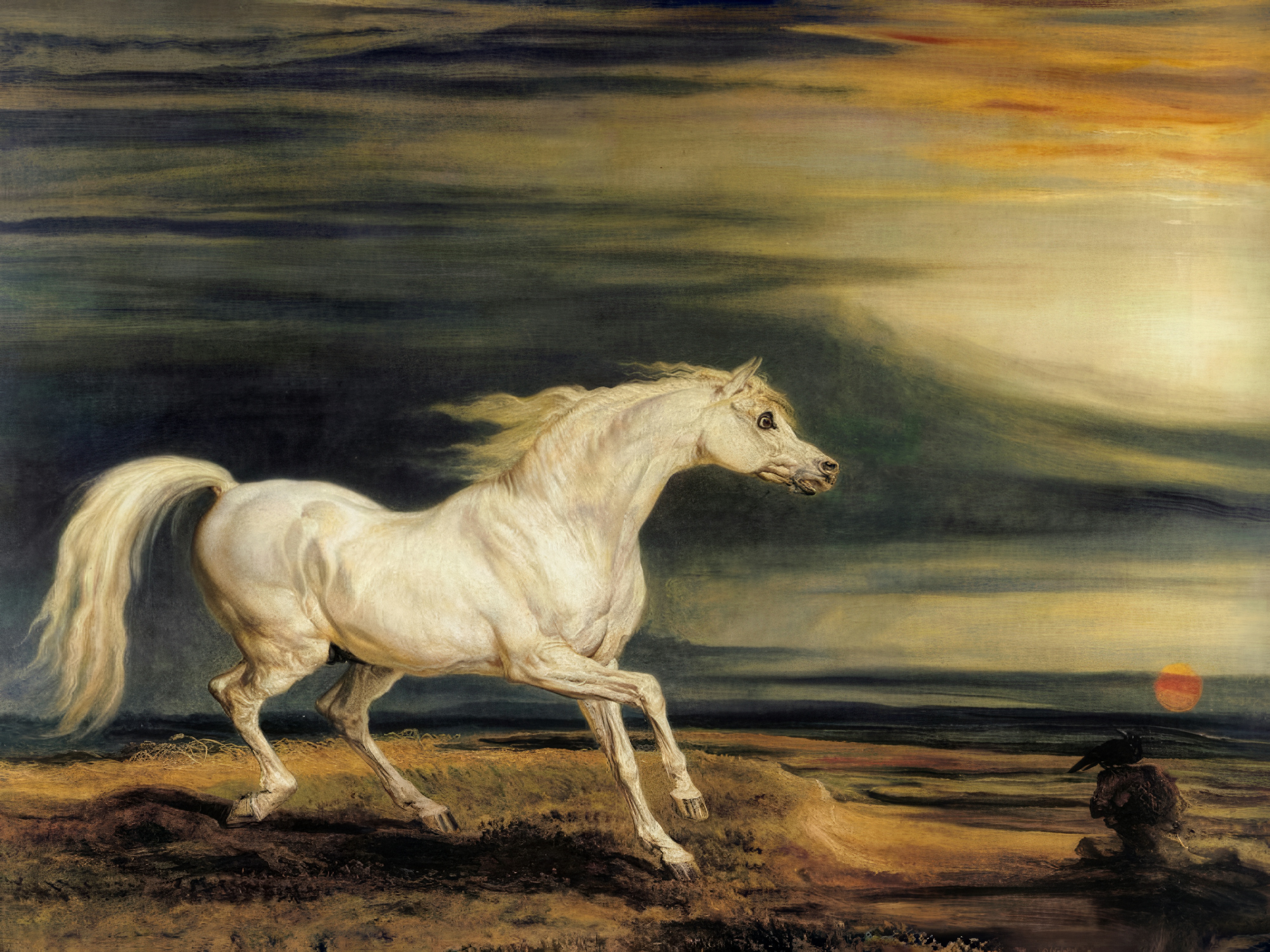 A white Arab stallion with a flowing mane stands on a ridge against a fiery sunset sky.