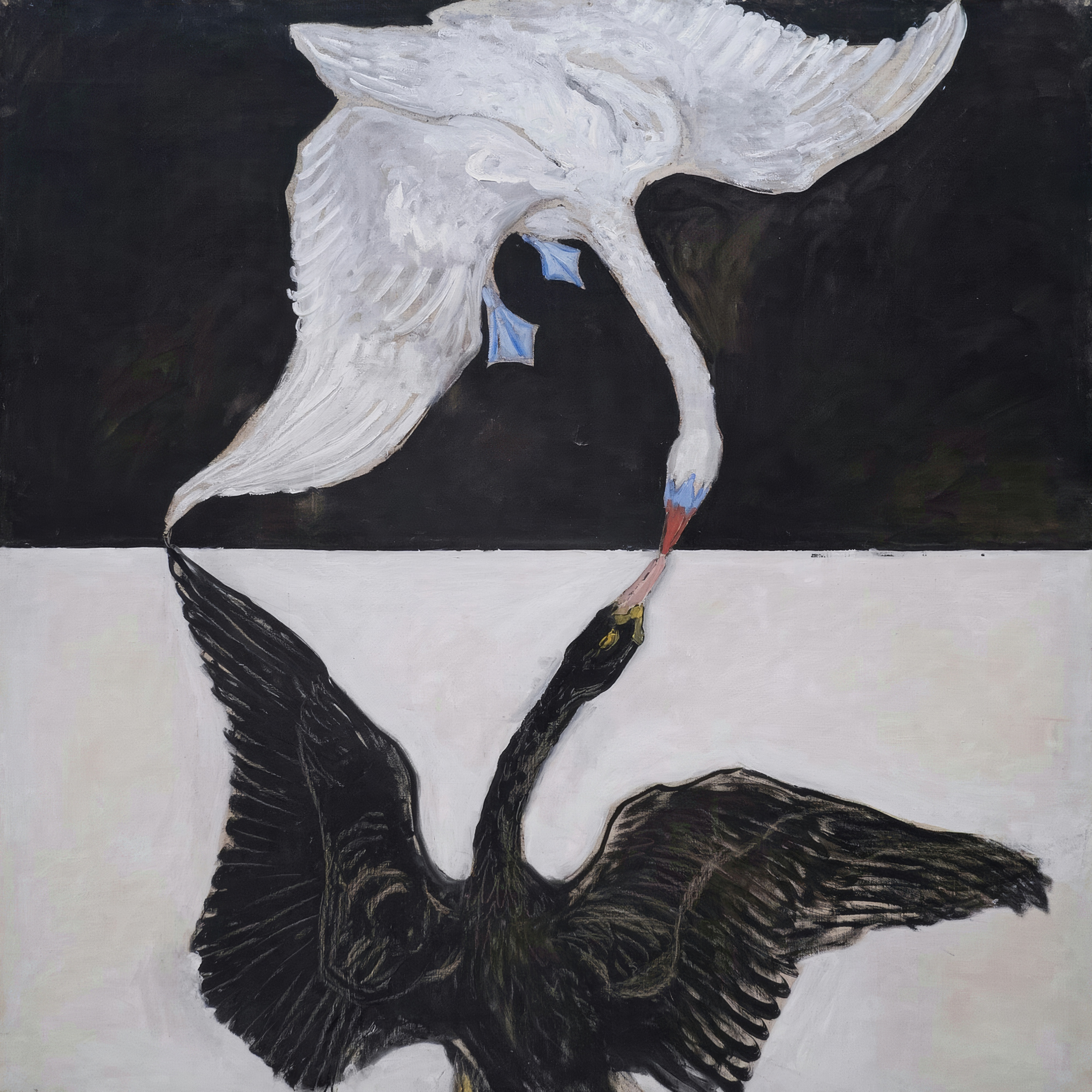 A white swan on black and a black swan on white meet beak to beak across a straight line.