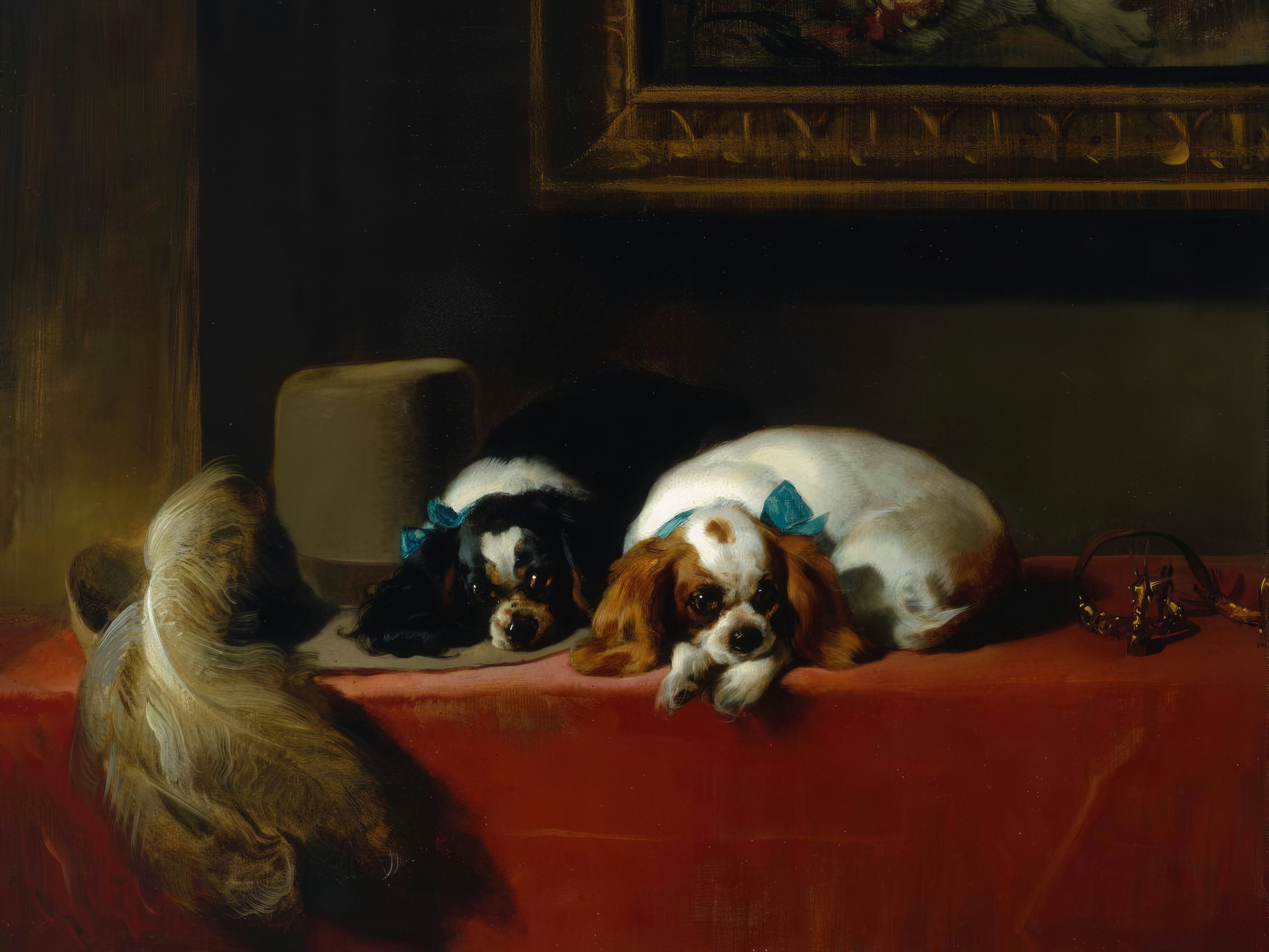 Two King Charles spaniels rest on a crimson draped table against a dark background.