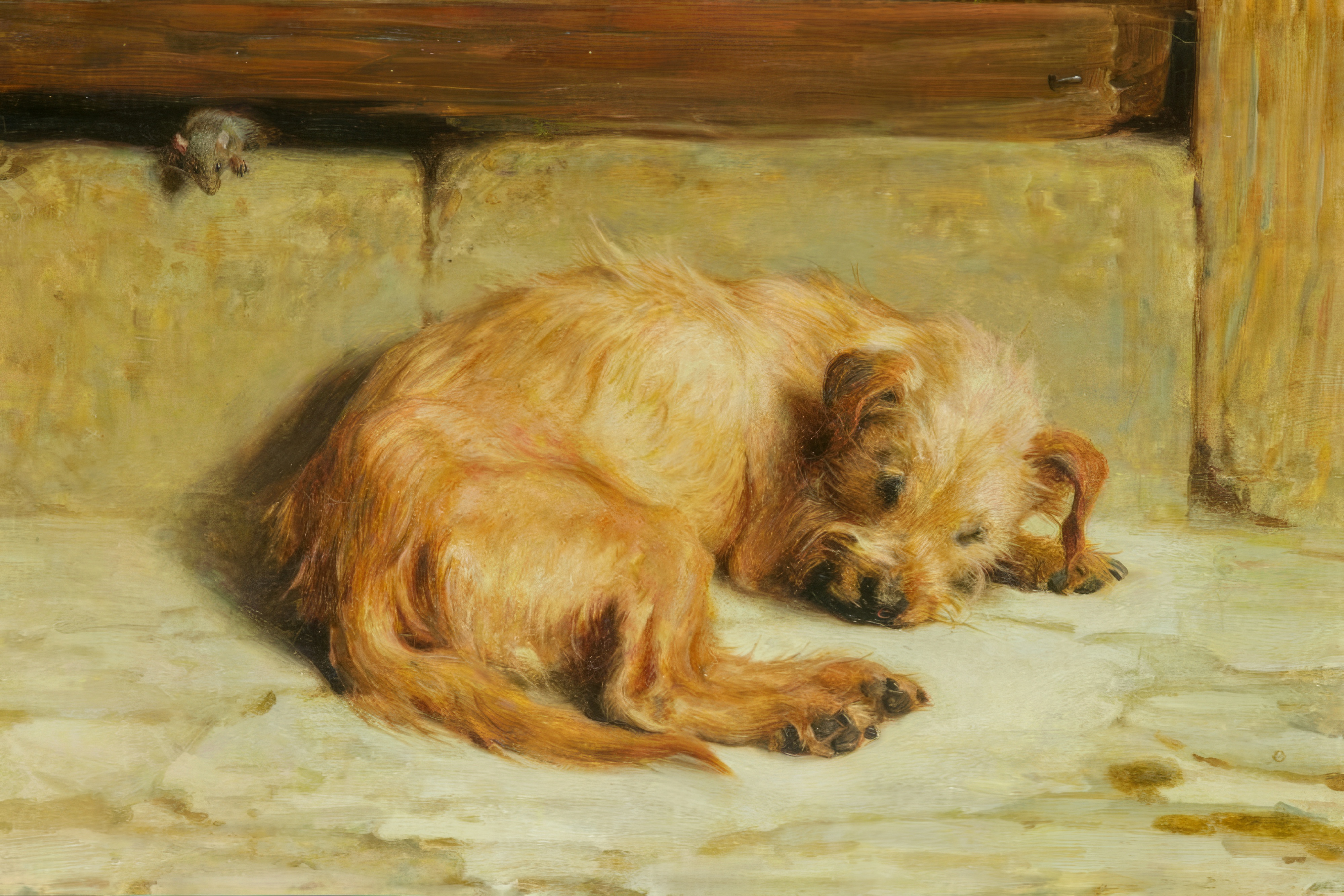 A scruffy terrier sleeps on a stone floor while a tiny mouse peeks out from under a step.