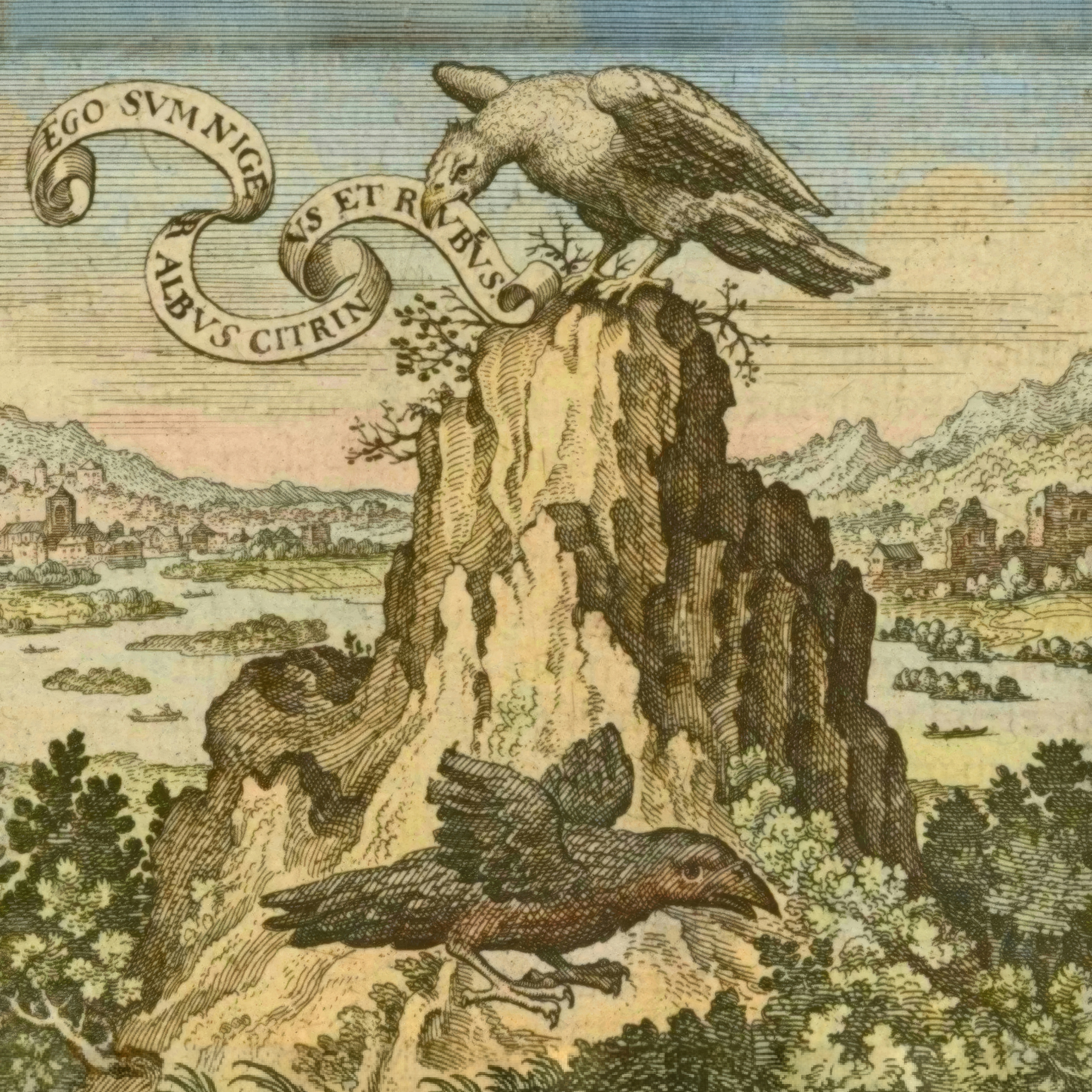 The Talking Vulture