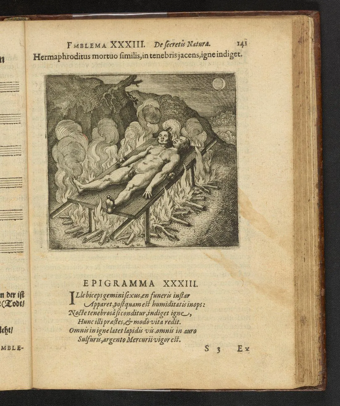Museum original: The Hermaphrodite on the Fire