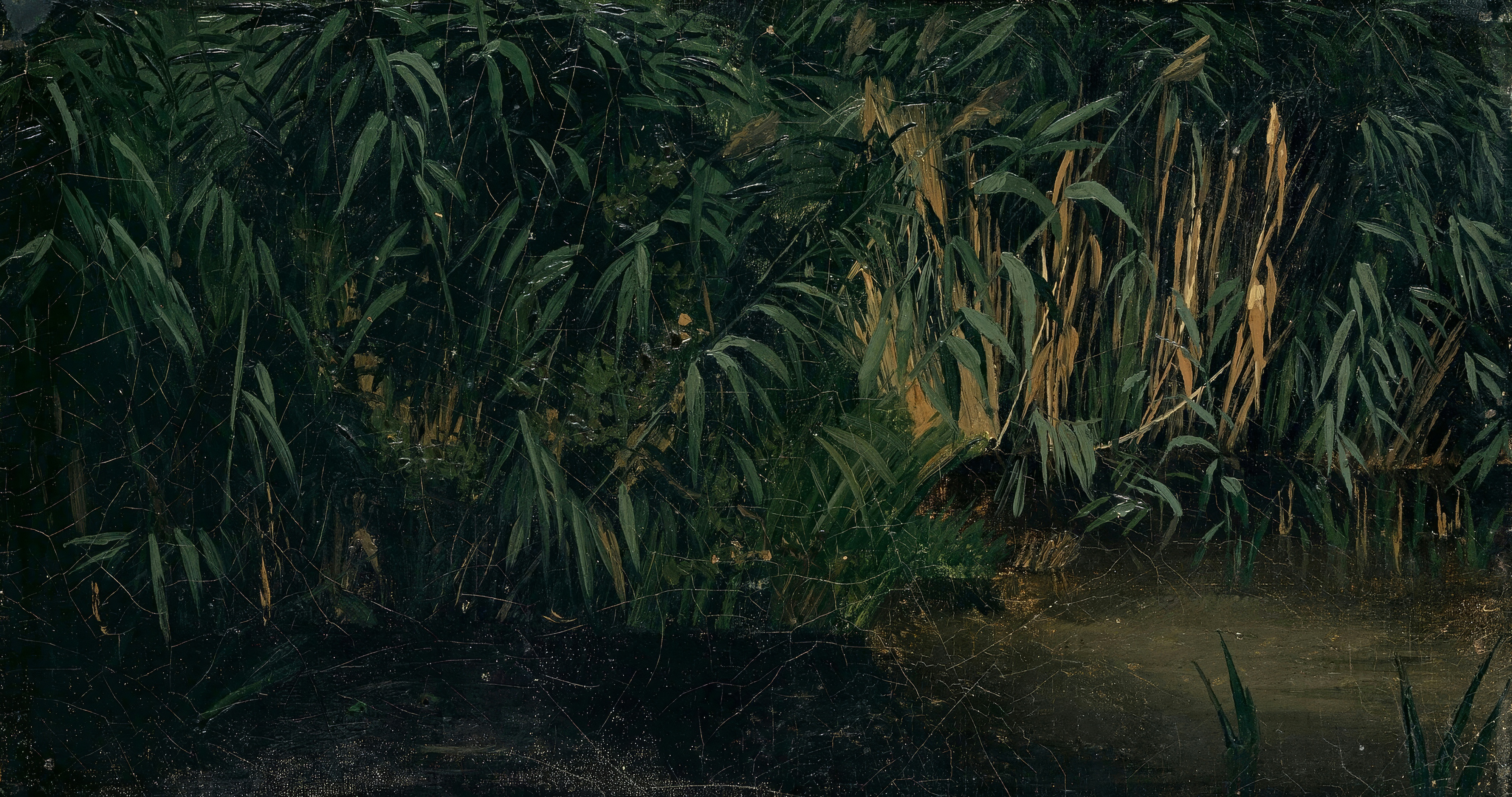 A dense thicket of dark green reeds at the edge of still water, with a few golden stalks catching the light.