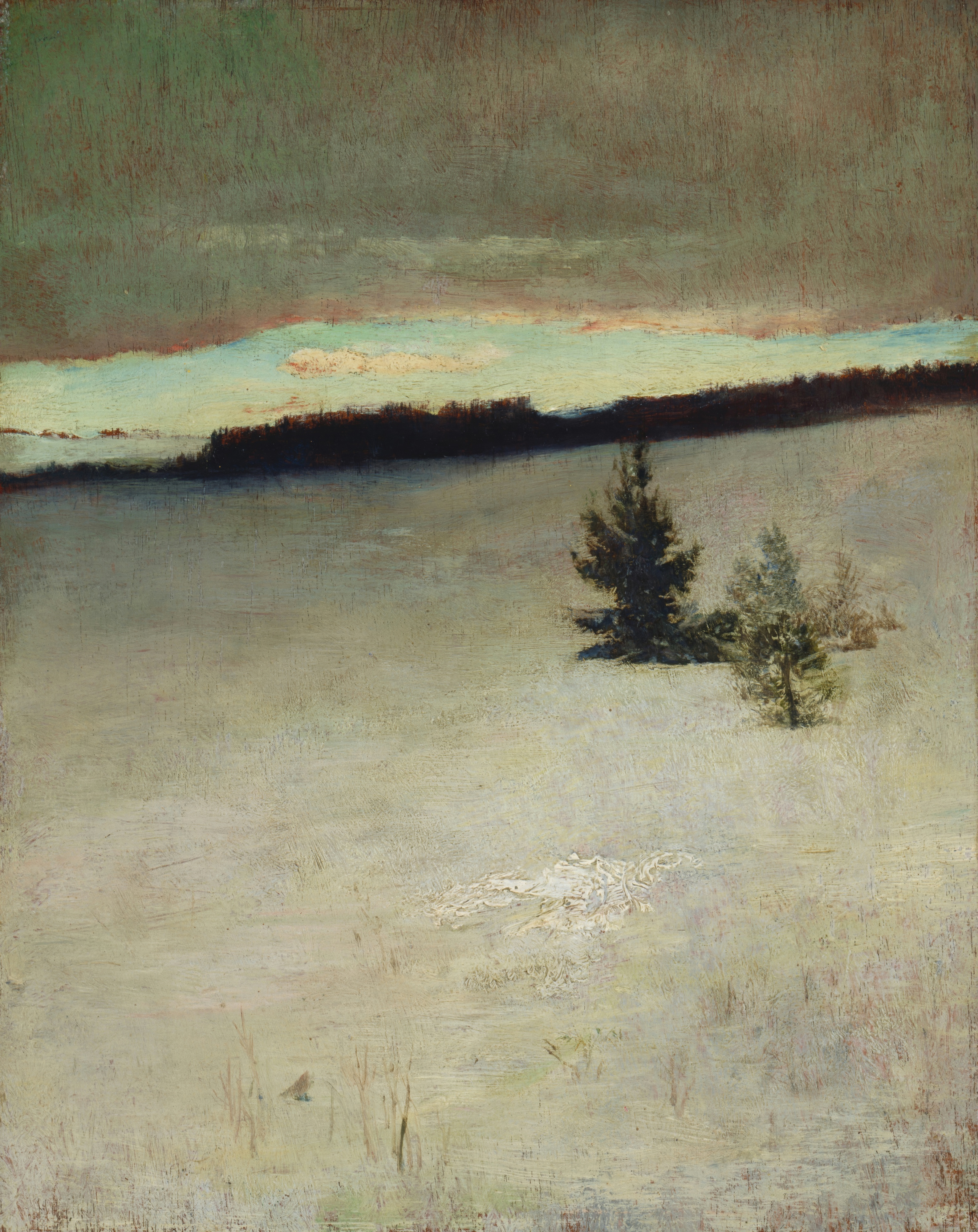 A wide field covered in fresh snow under the soft light of a winter morning.