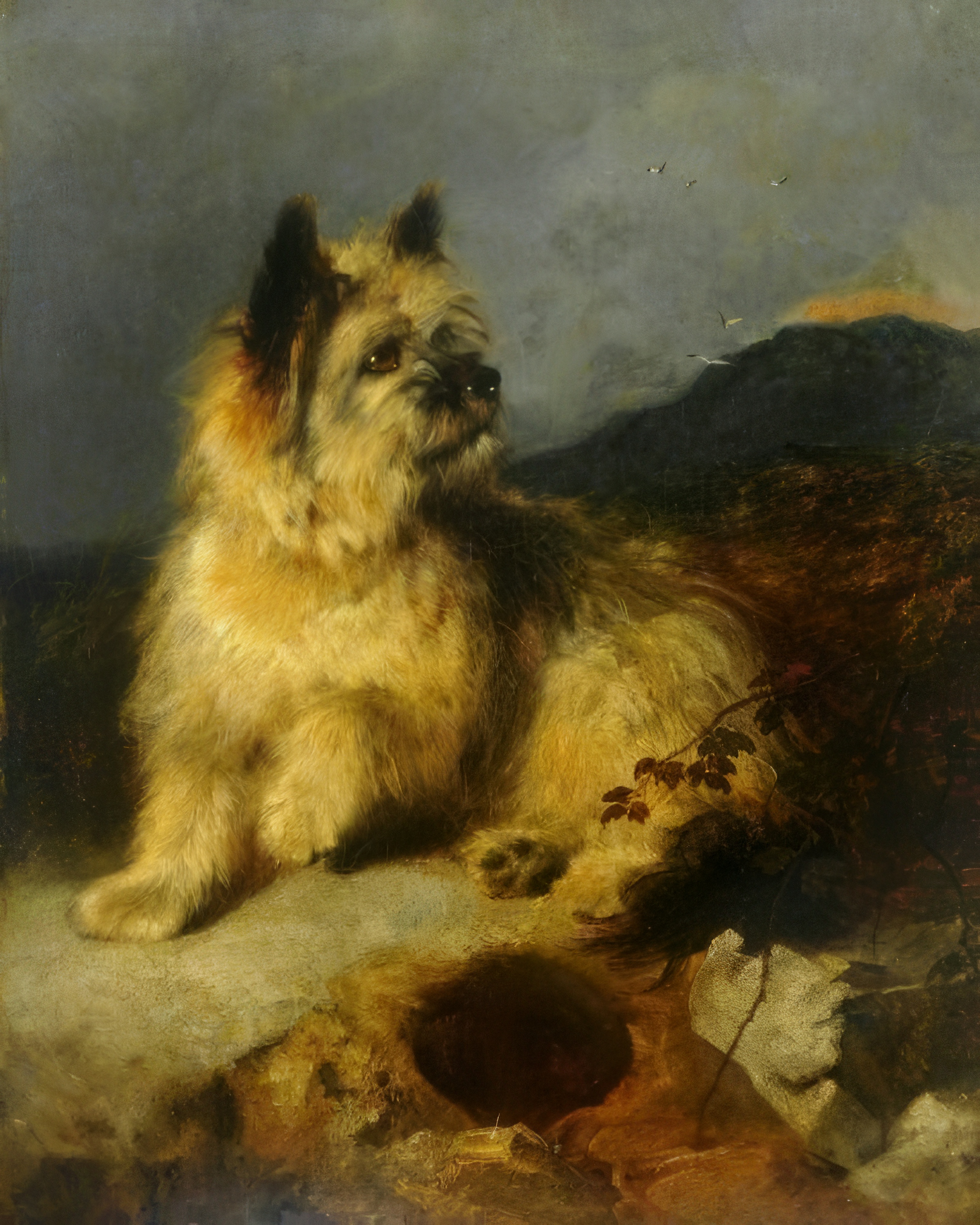 A rugged wiry terrier sits beside a dark rabbit hole, watching it intently.
