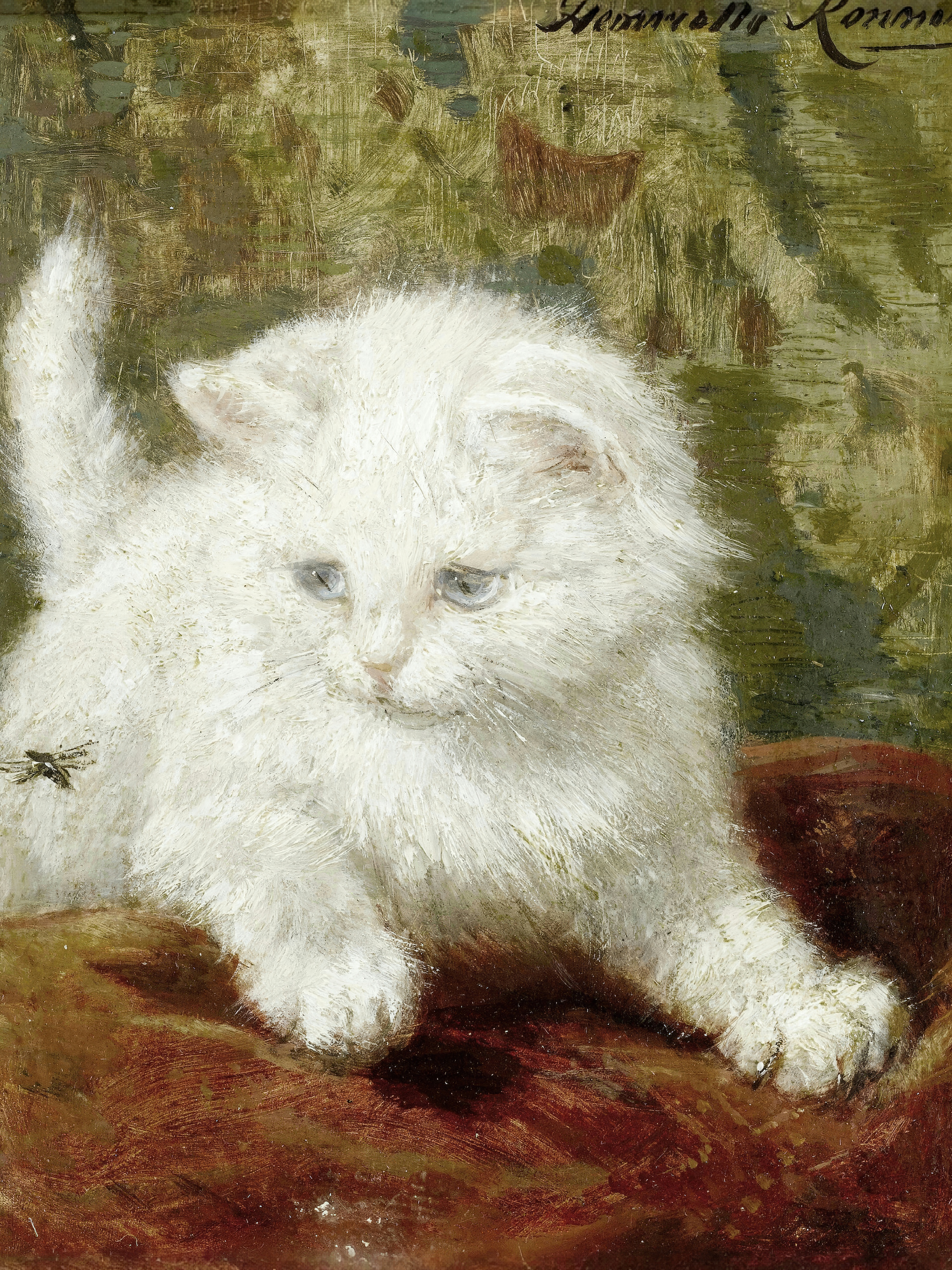 A fluffy white kitten with pale blue eyes lies on maroon fabric and looks down at a small insect.