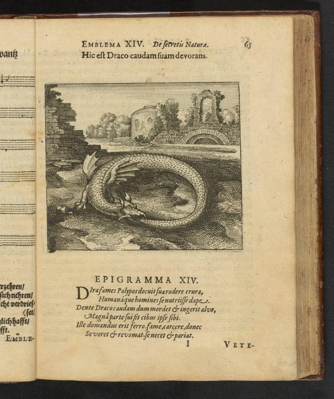 Museum original: The Dragon Eating its Tail