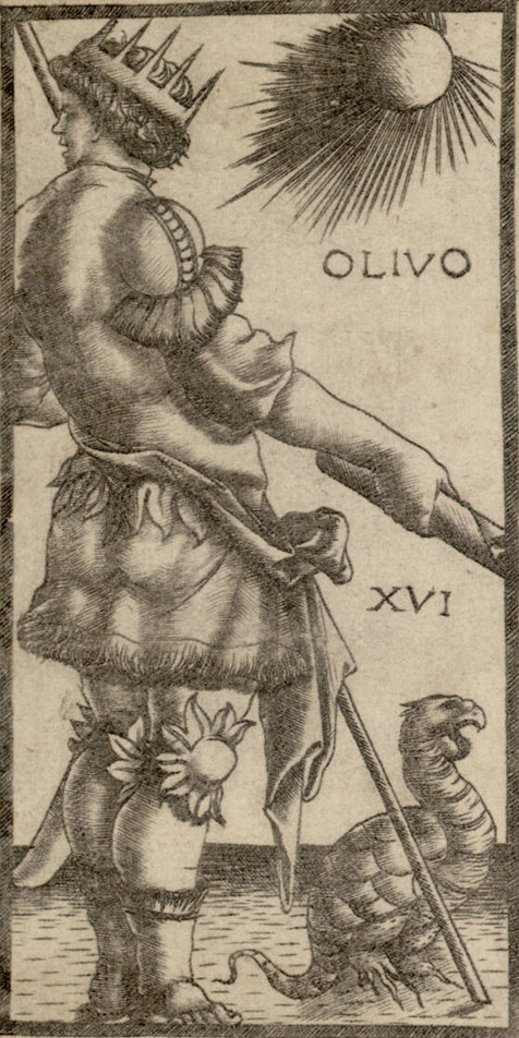 Olivo (XVI) · ALBERTINA, Vienna