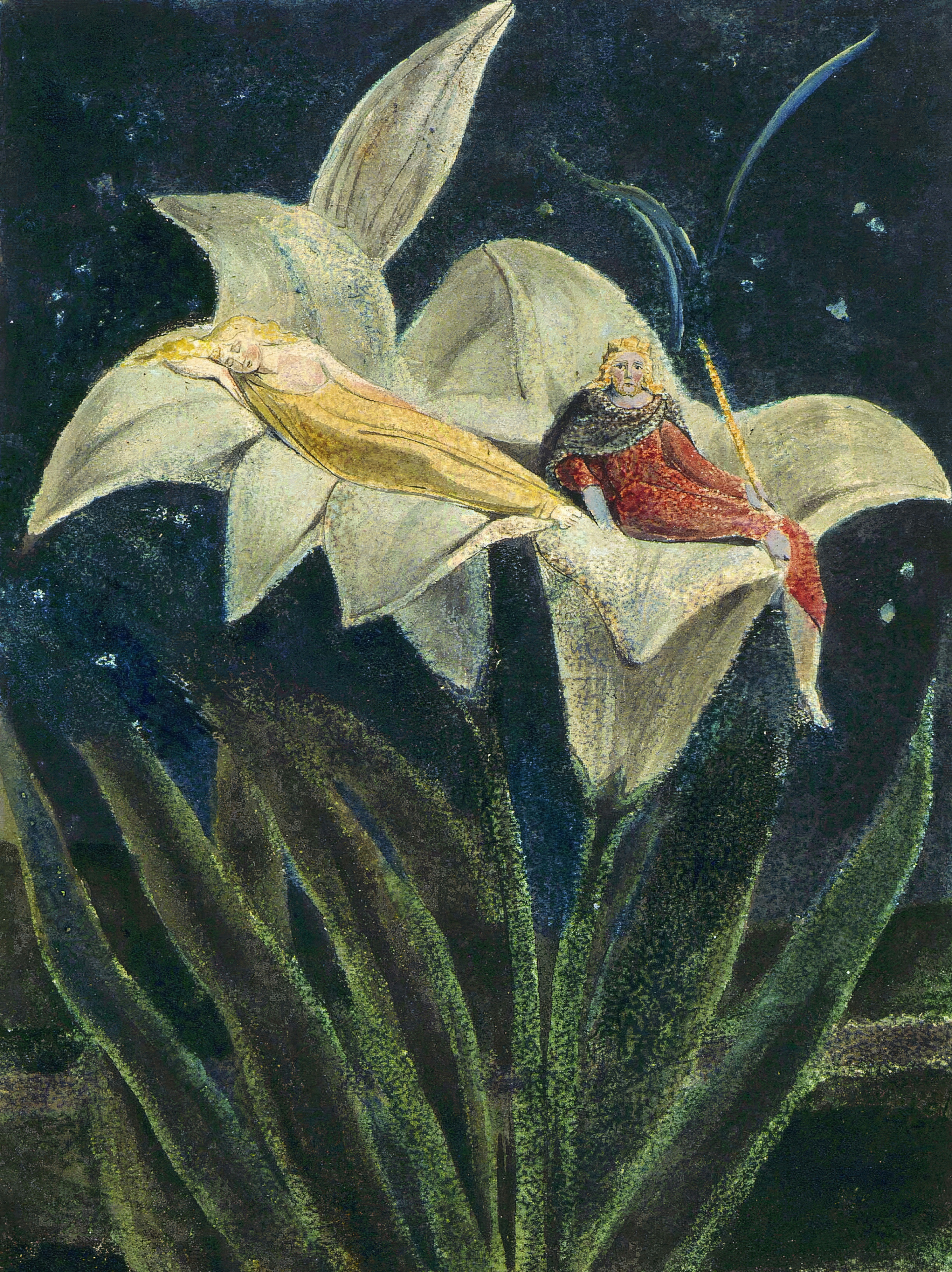 A crowned king and a sleeping figure rest on the petals of a giant lily under a starry sky.
