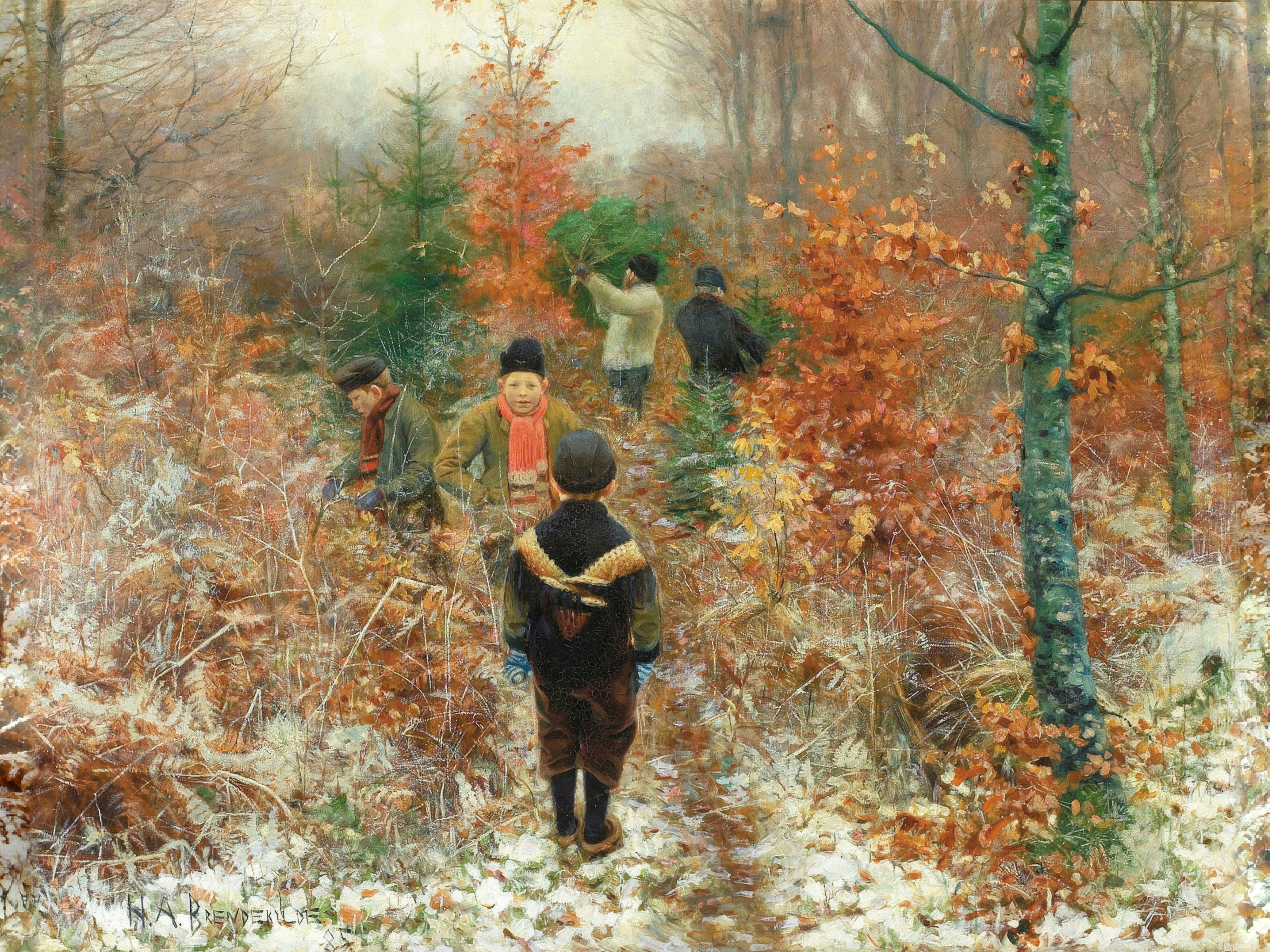 Boys in warm coats watch men fell a young fir in a frosty Scandinavian wood.