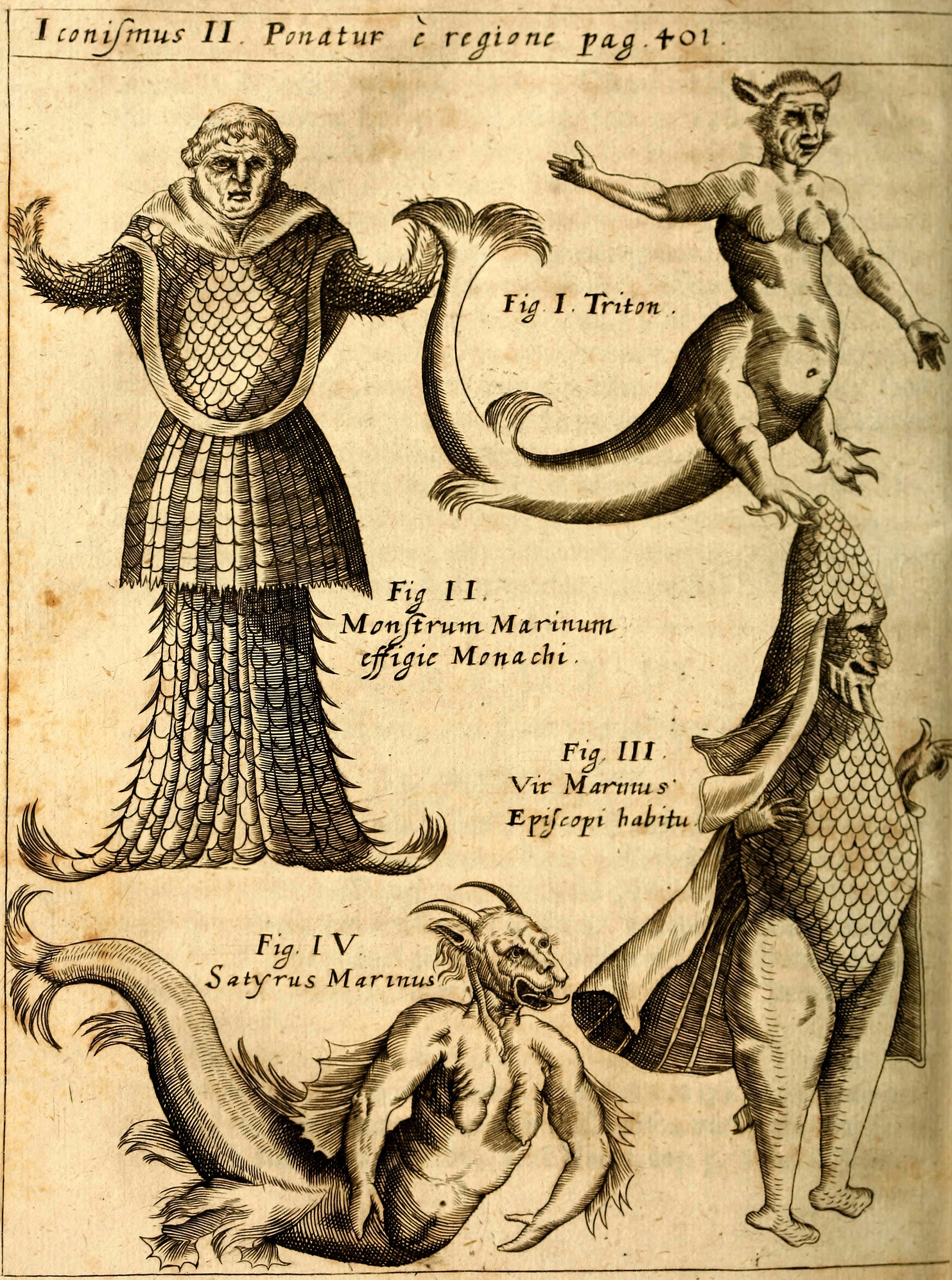 Museum original: Sea Monsters of Physica Curiosa, Plate II