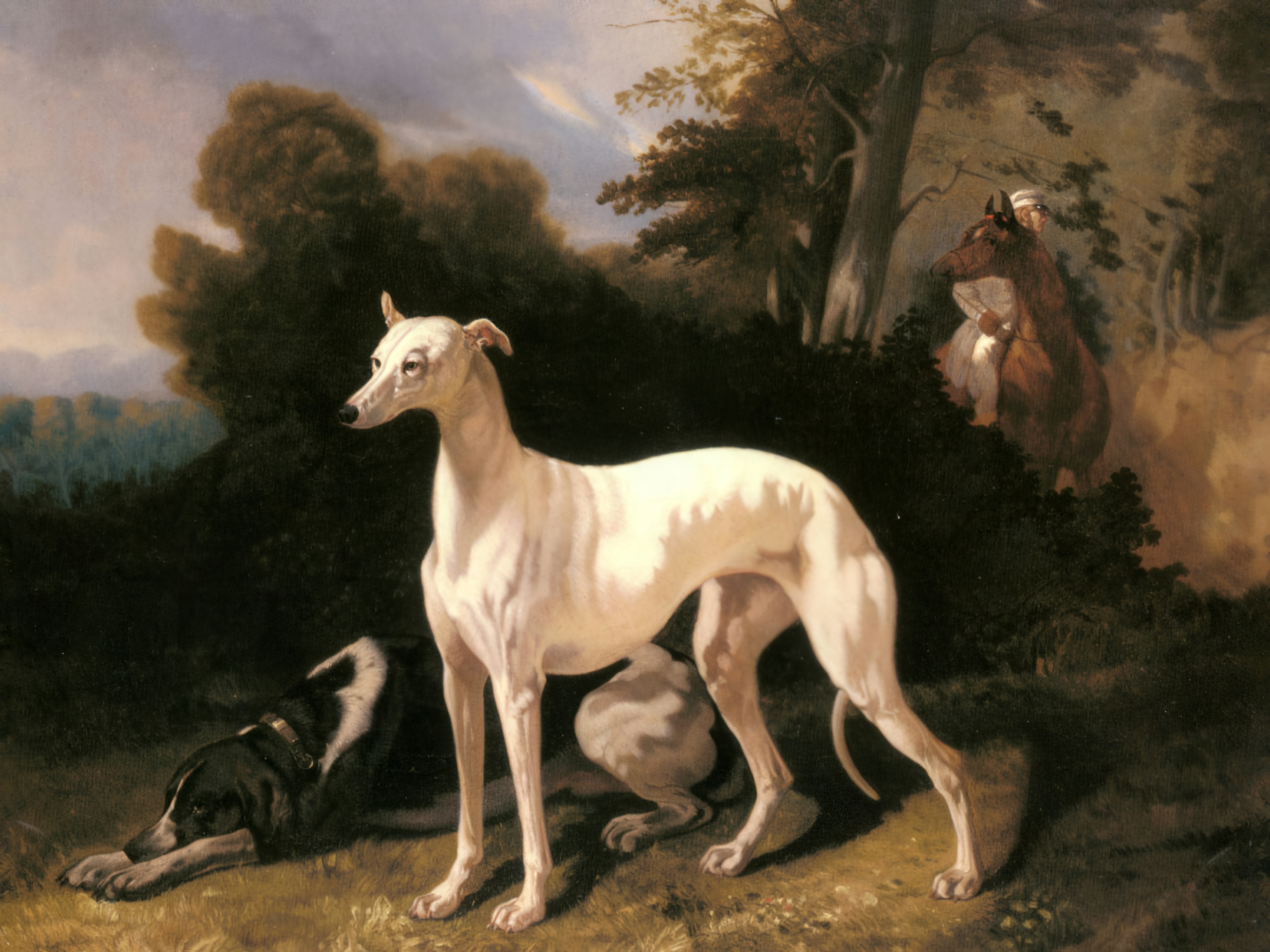 A white greyhound stands in a shaft of light in a wooded landscape, with a second dog resting beside it and a rider beyond.