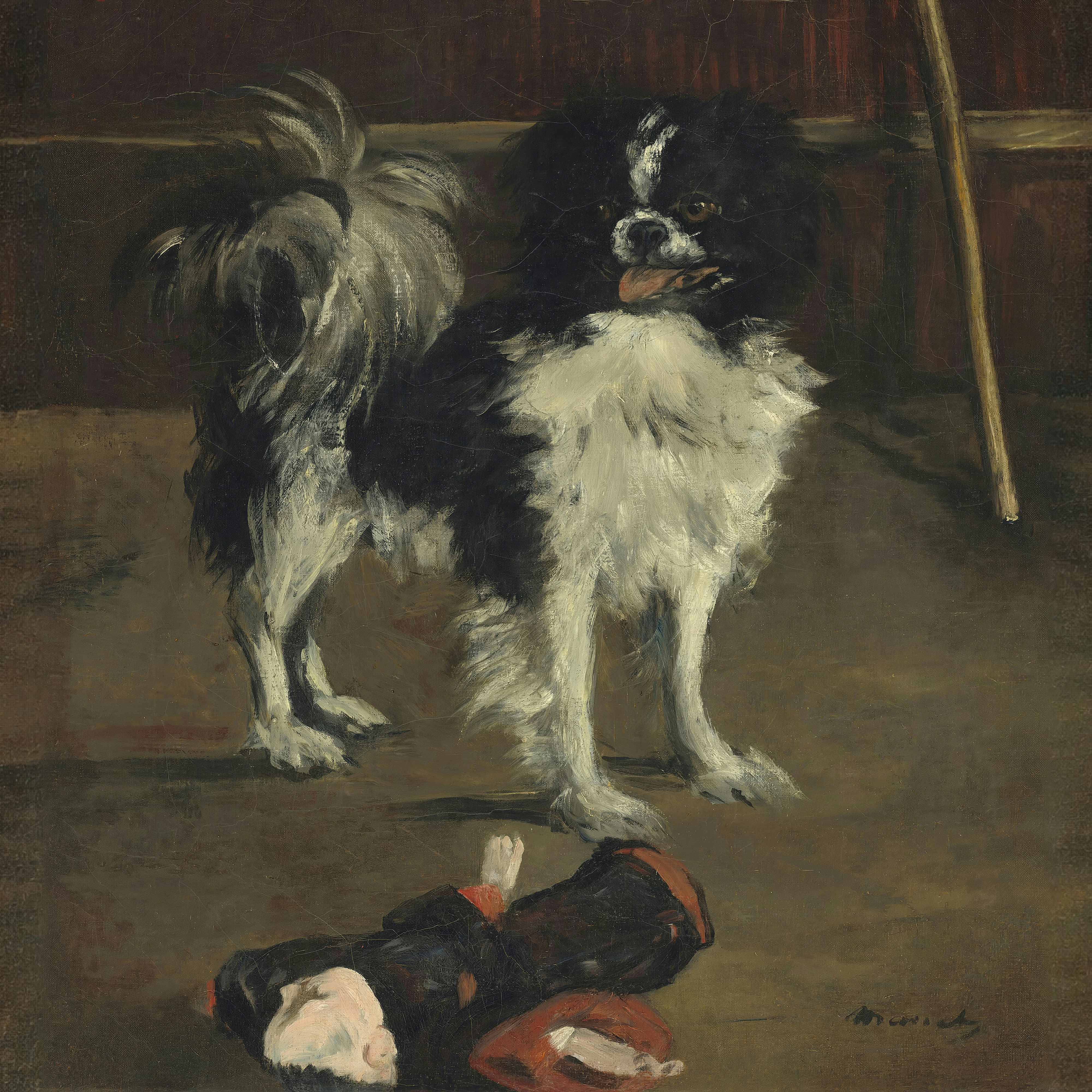 A small black and white Japanese Chin stands alert beside a doll and a ball.
