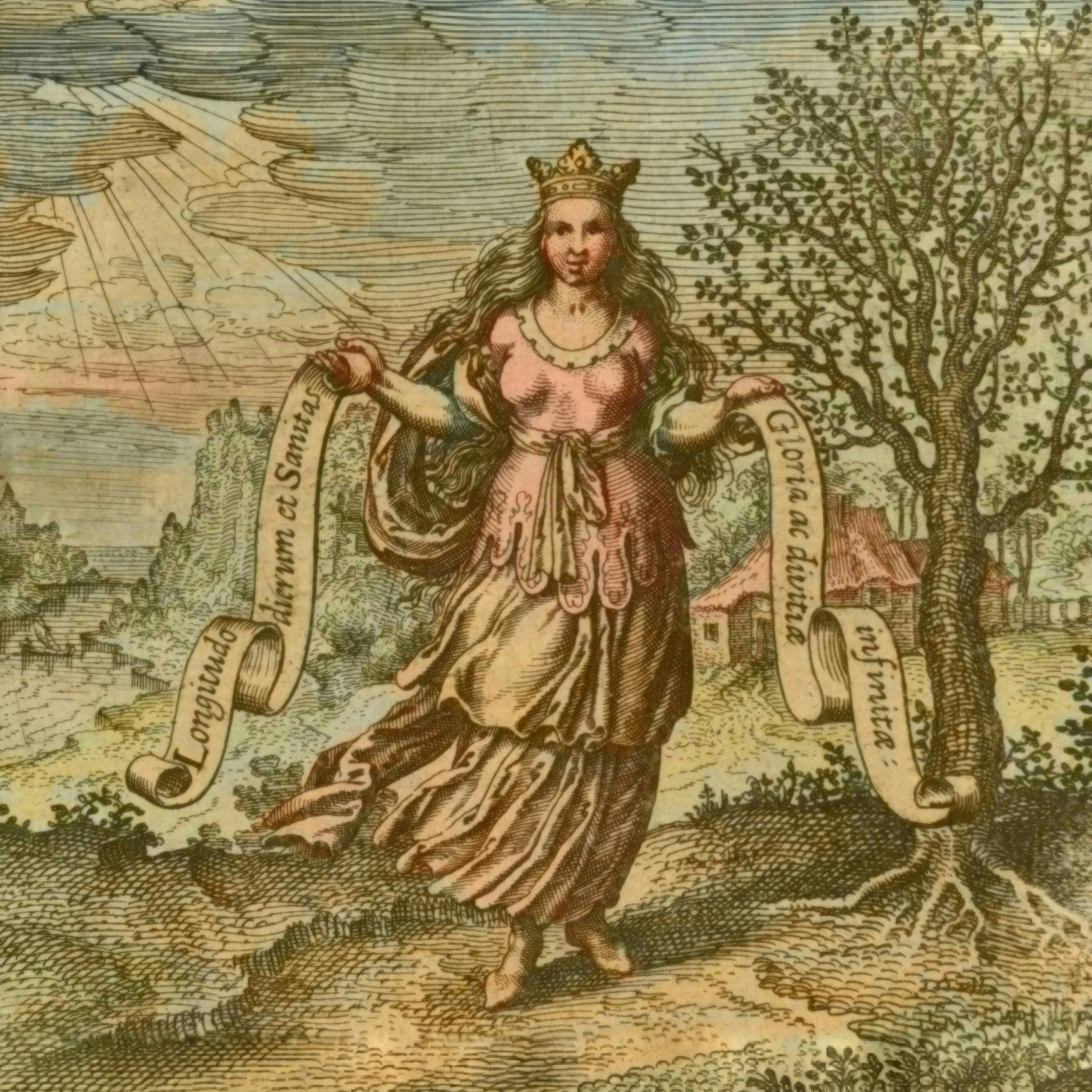 Wisdom’s Tree of Life