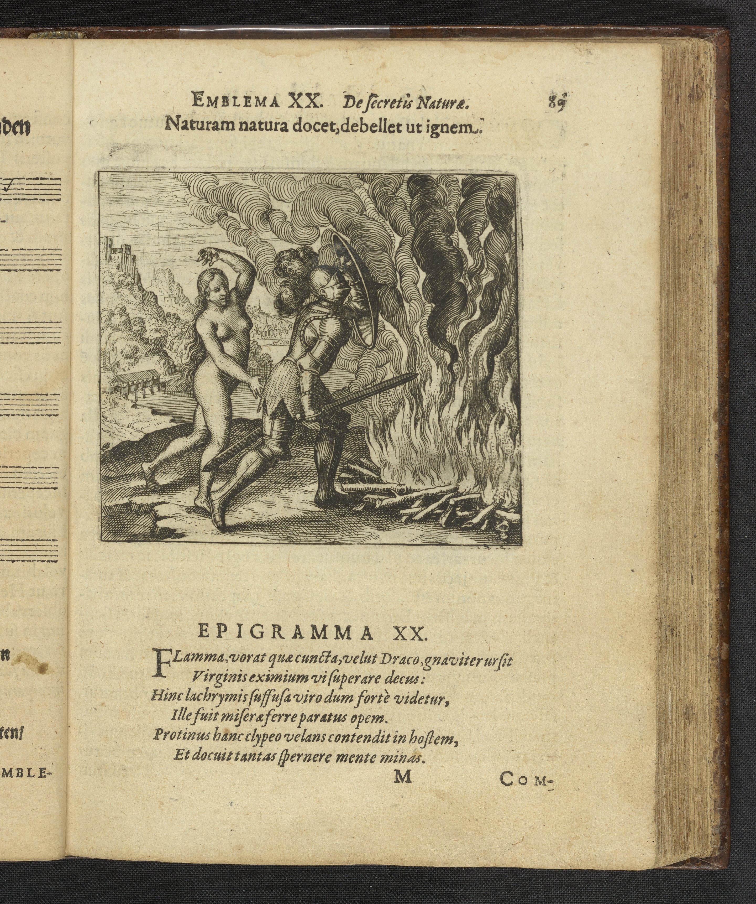 Museum original: Nature Teaches Nature to Conquer Fire