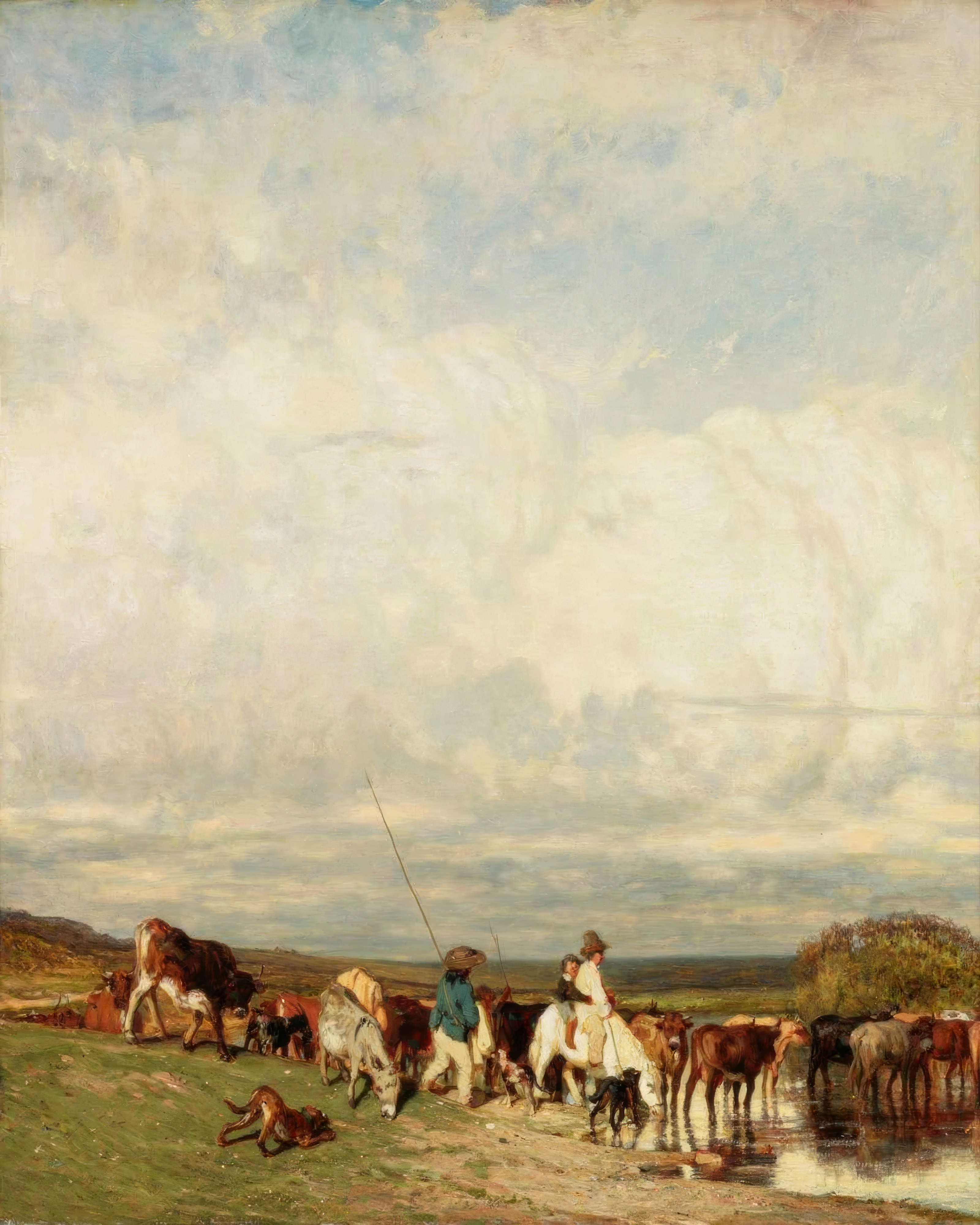 Cattle wade through a shallow, shining stream under a sky of breaking clouds.