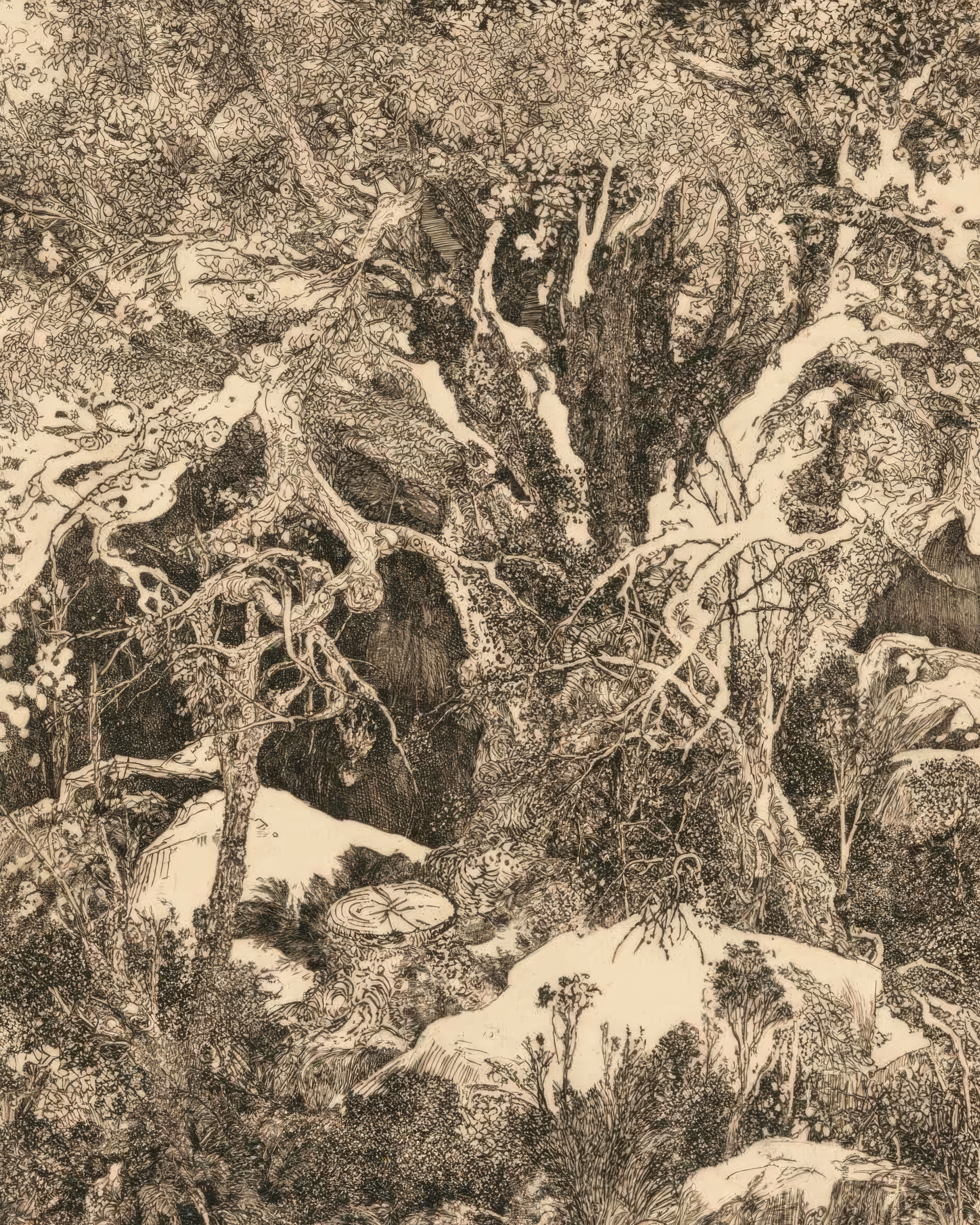 A great branching tree and pale rocks amid dense black linework in Fable’s edition of Bresdin’s Forest of Fontainebleau.