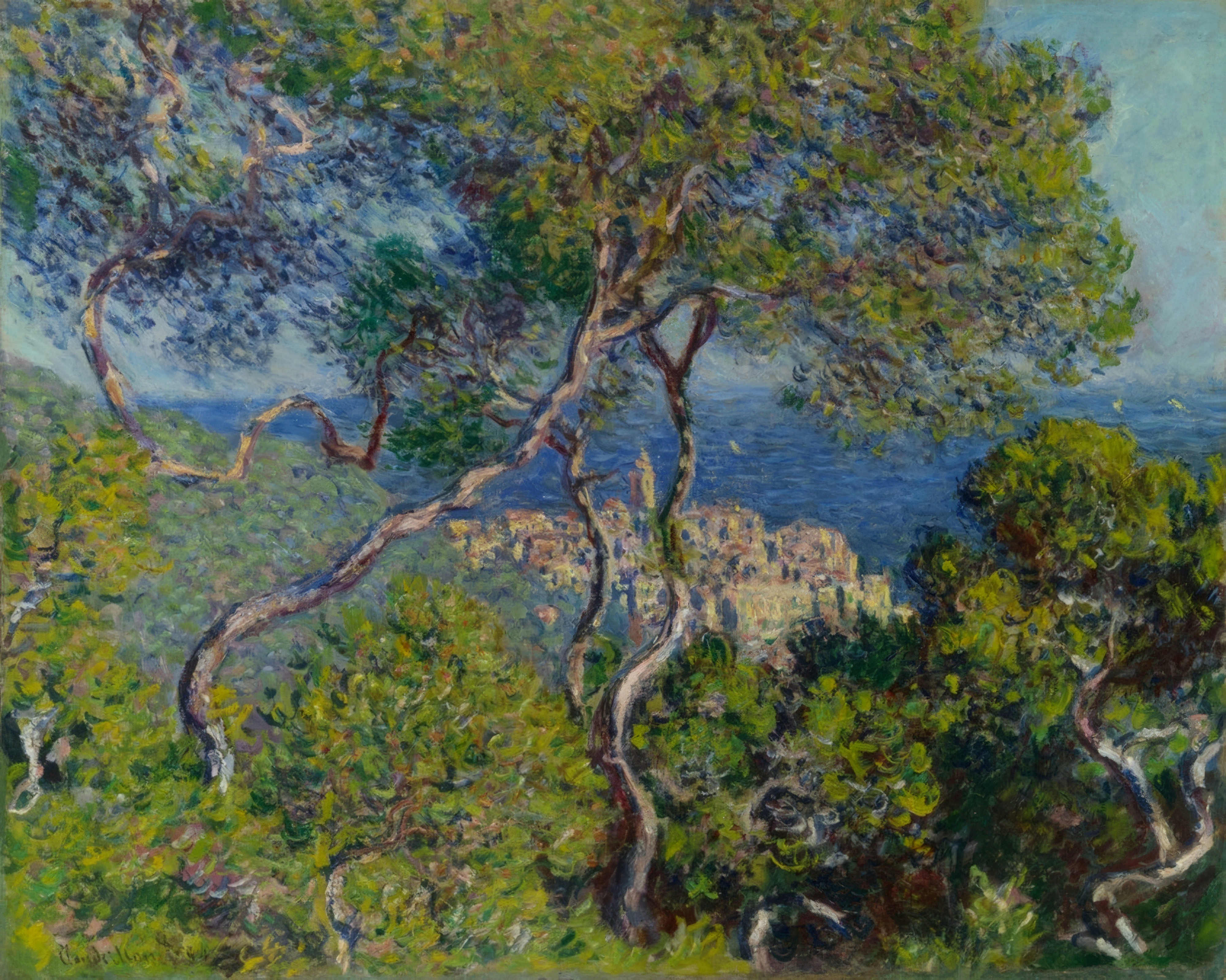 Twisting pine trees frame a view of the Italian coastal town of Bordighera.