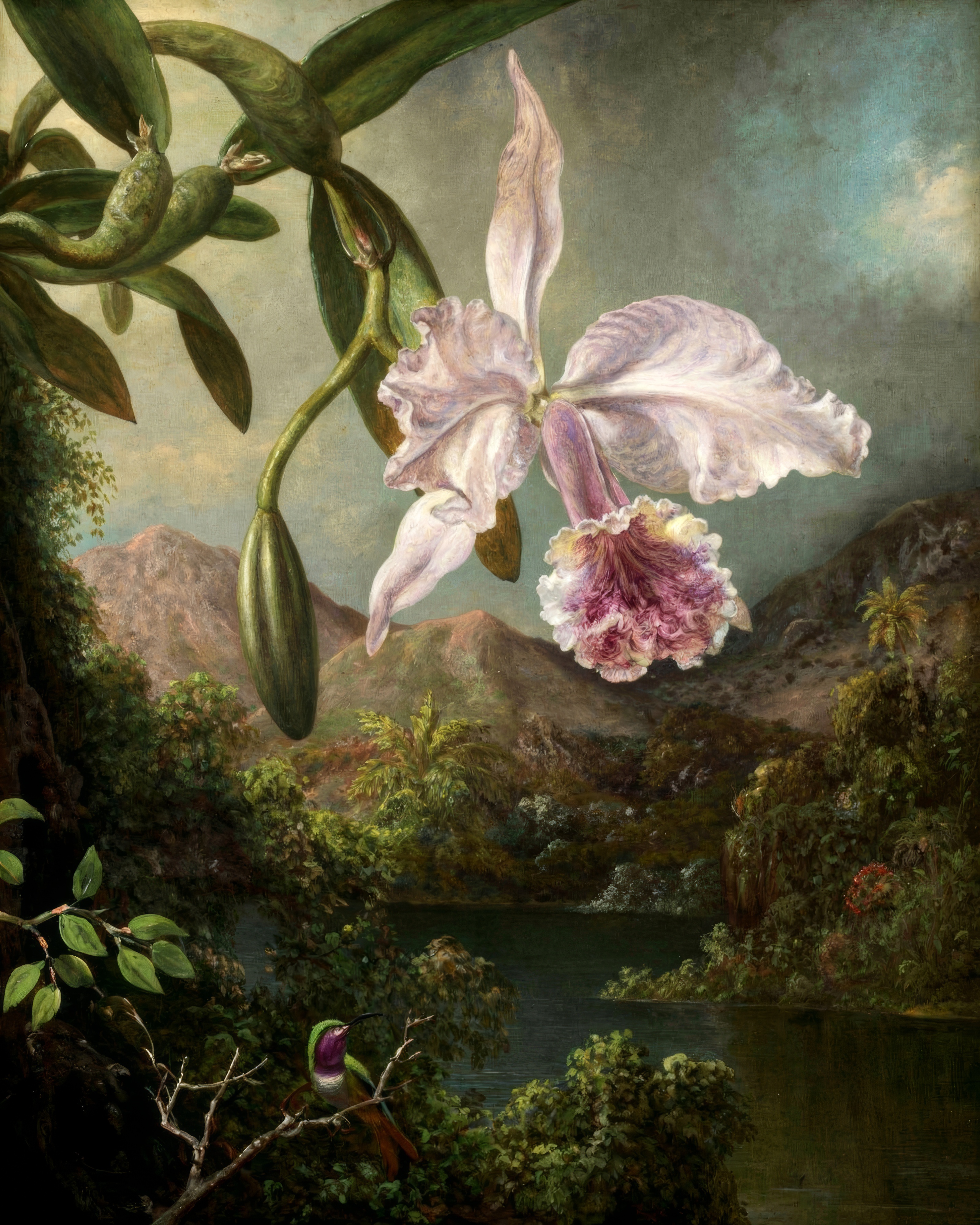 Pink orchids glow among dark green leaves in a misty tropical forest.