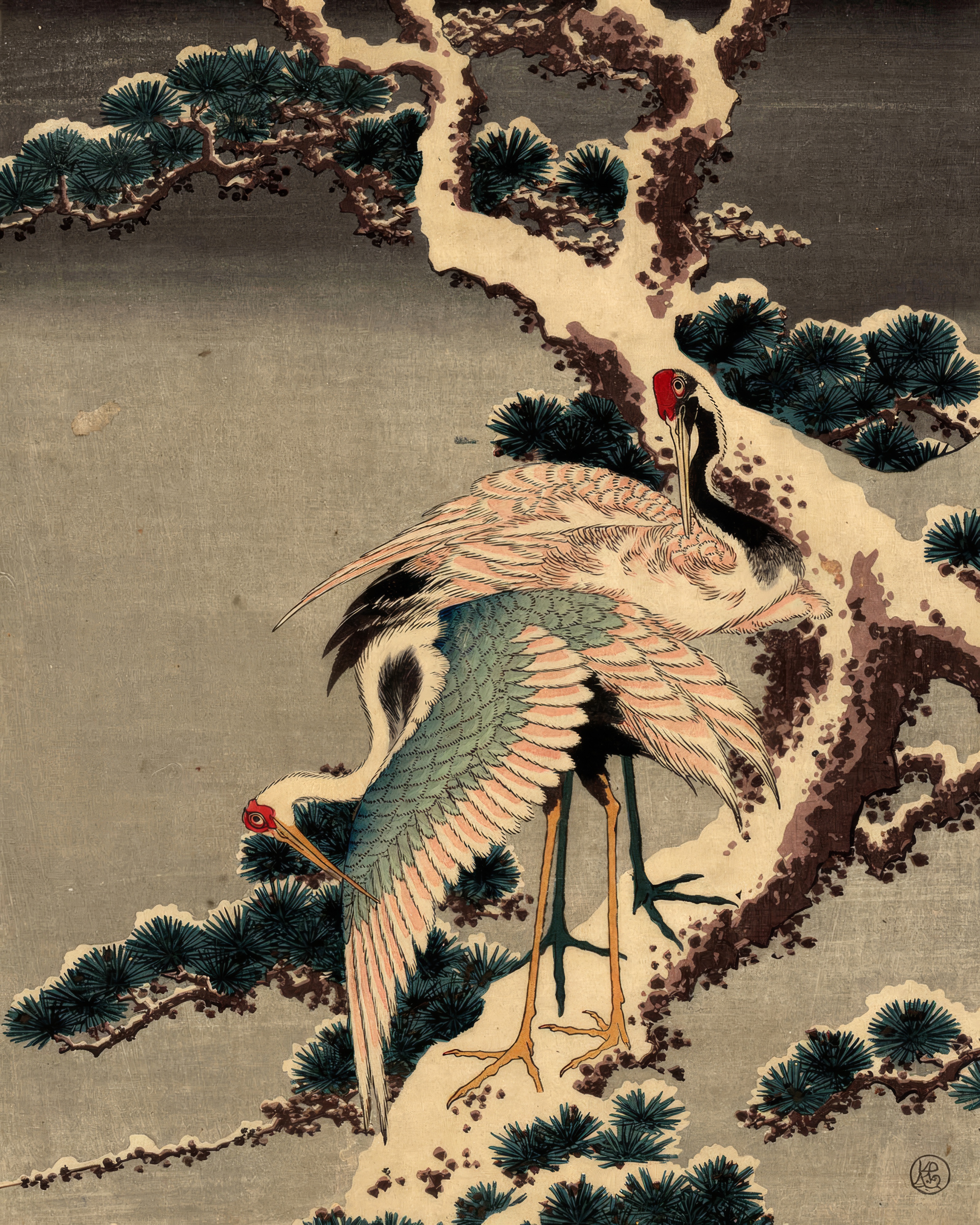 Two cranes perch on a pine branch heavy with snow.