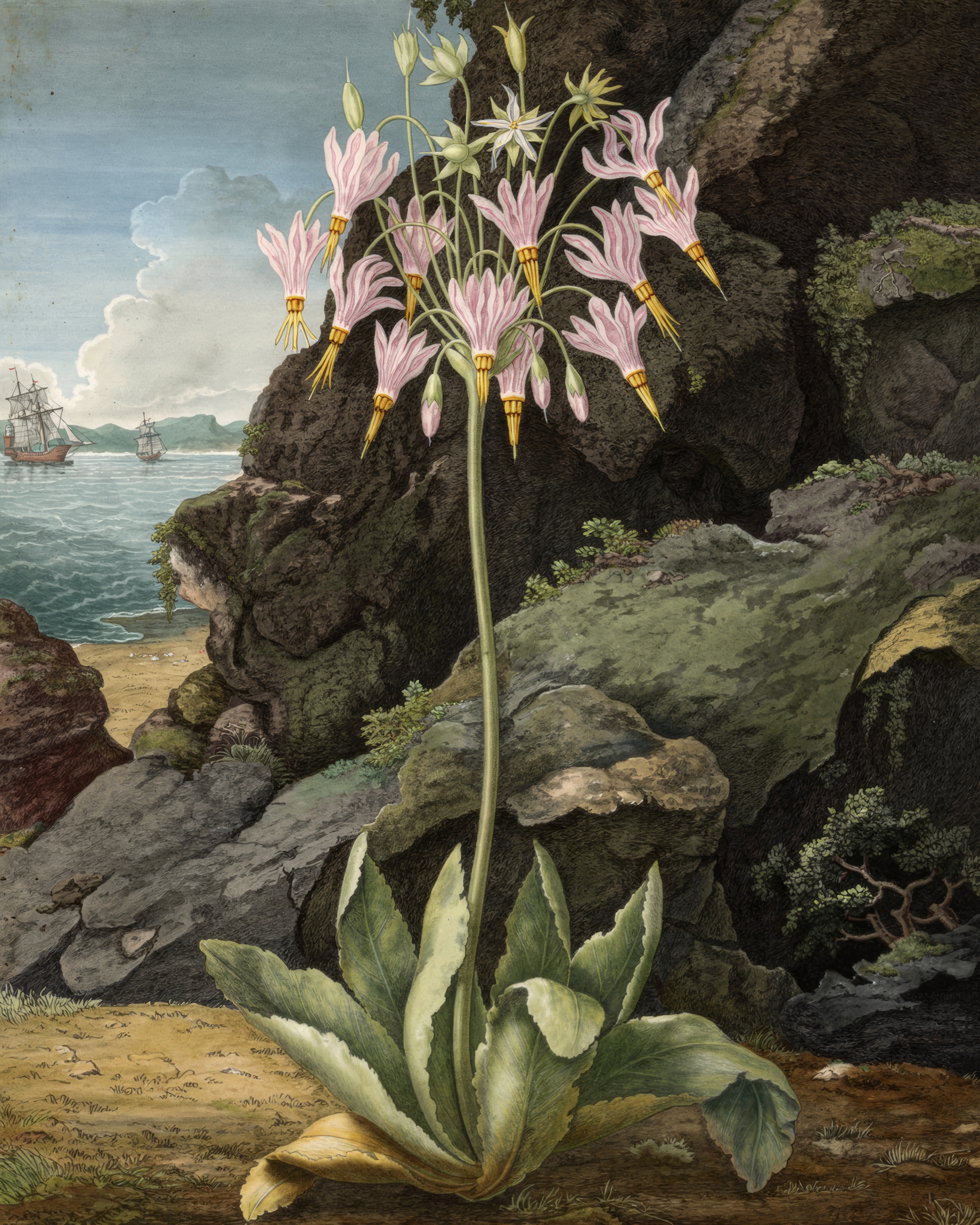 Pink and white shooting star flowers with swept-back petals rise on tall stems against a dark, stormy landscape.