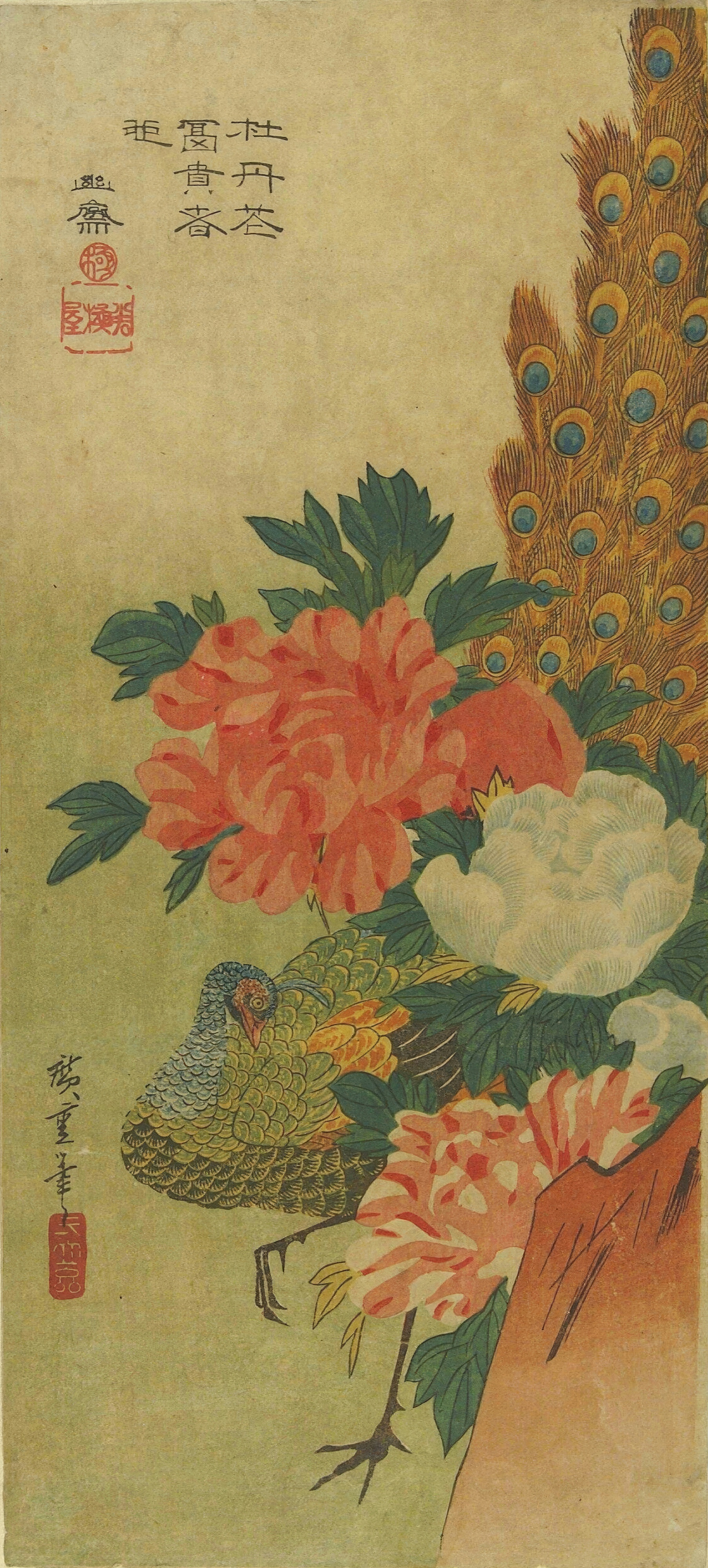 A peacock with a long green tail stands beside pink and red peonies.