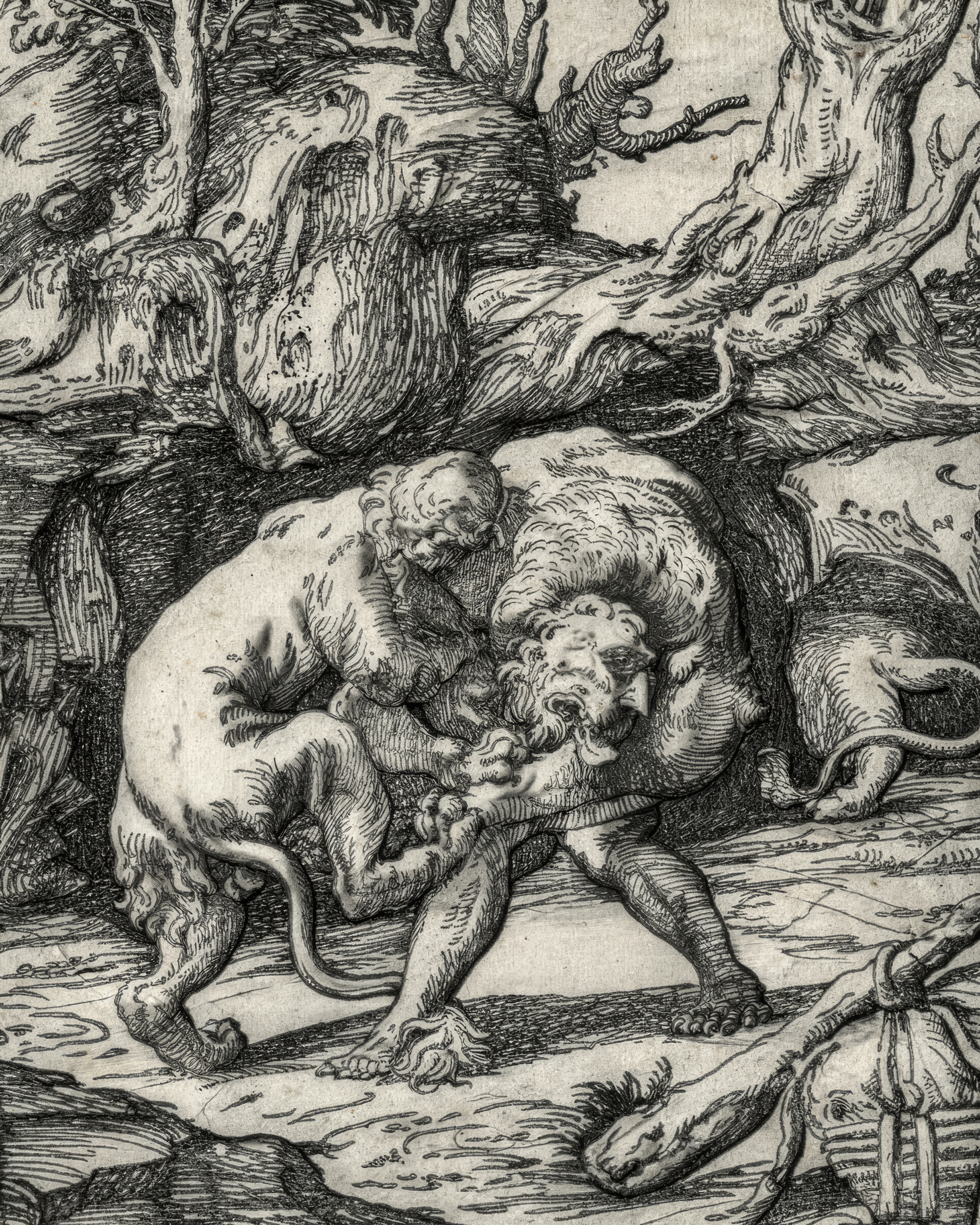 Hercules wrestles a lion, their bodies carved from light and shadow.