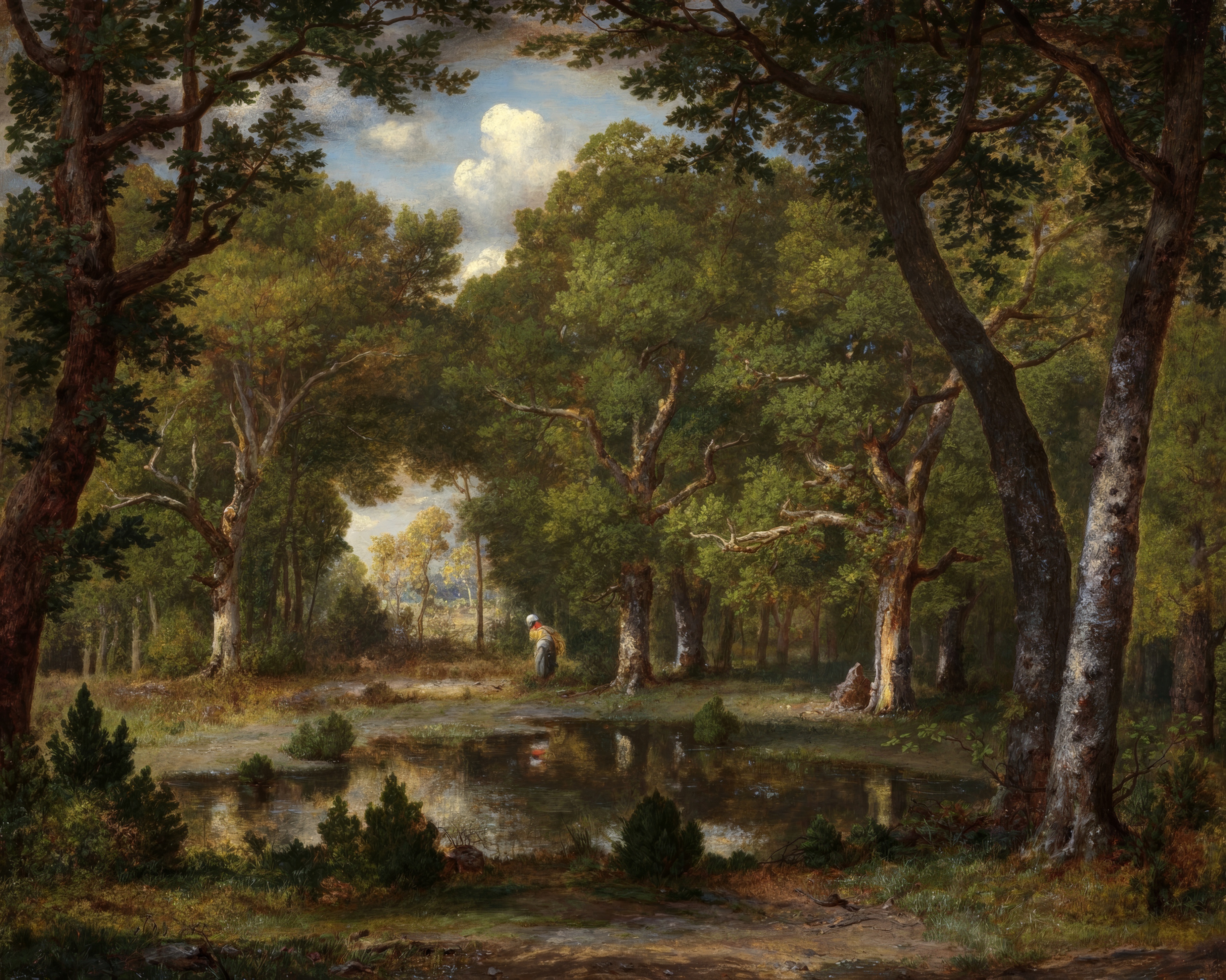 A small forest pond reflects the sky, framed by dark green trees.