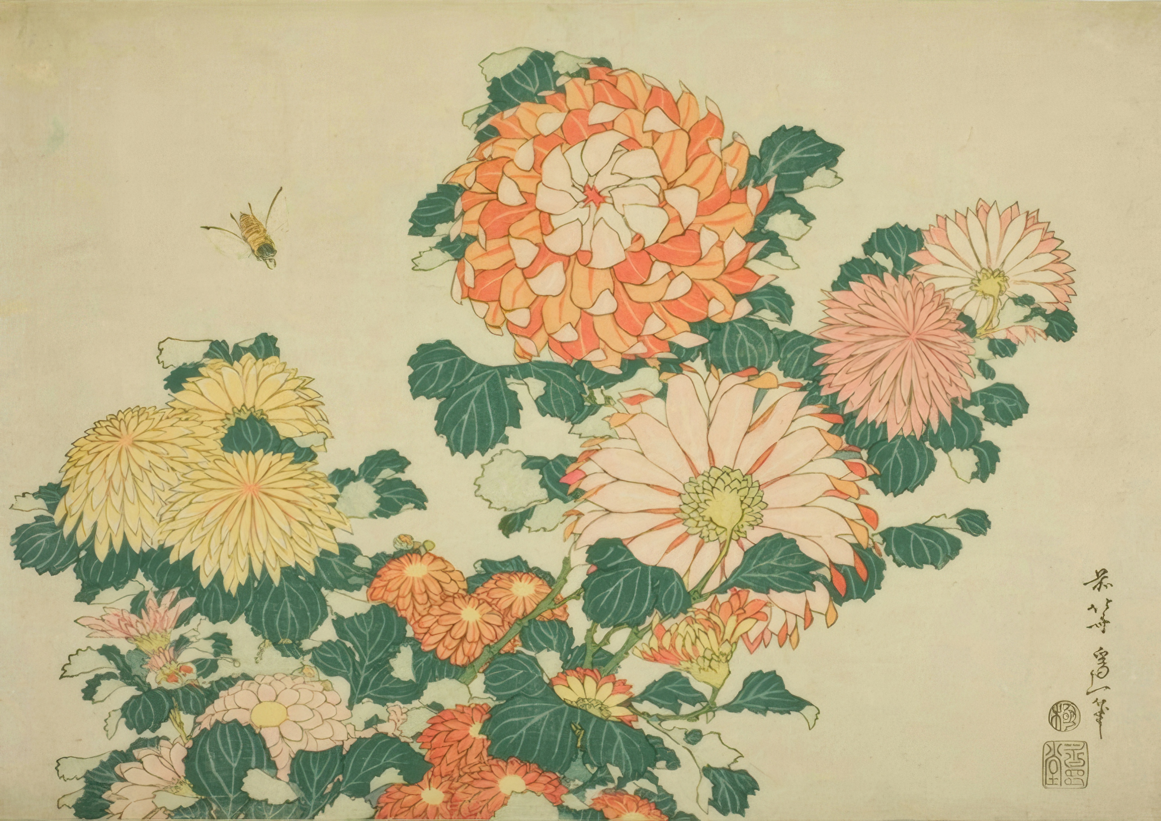A single orange and yellow chrysanthemum in full bloom with a small horsefly flying toward it, on a pale ground.