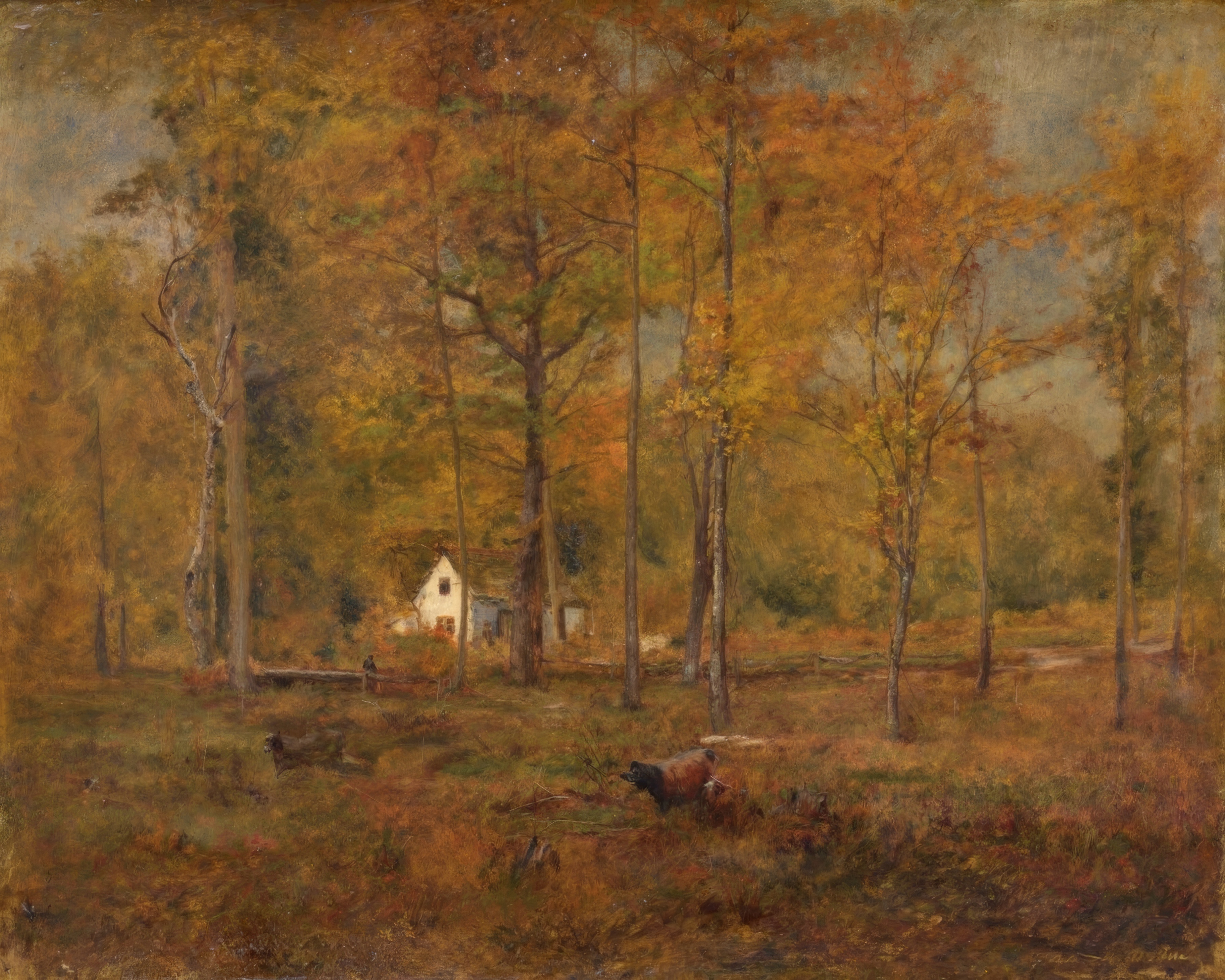 Golden autumn light fills a clearing deep in the woods.