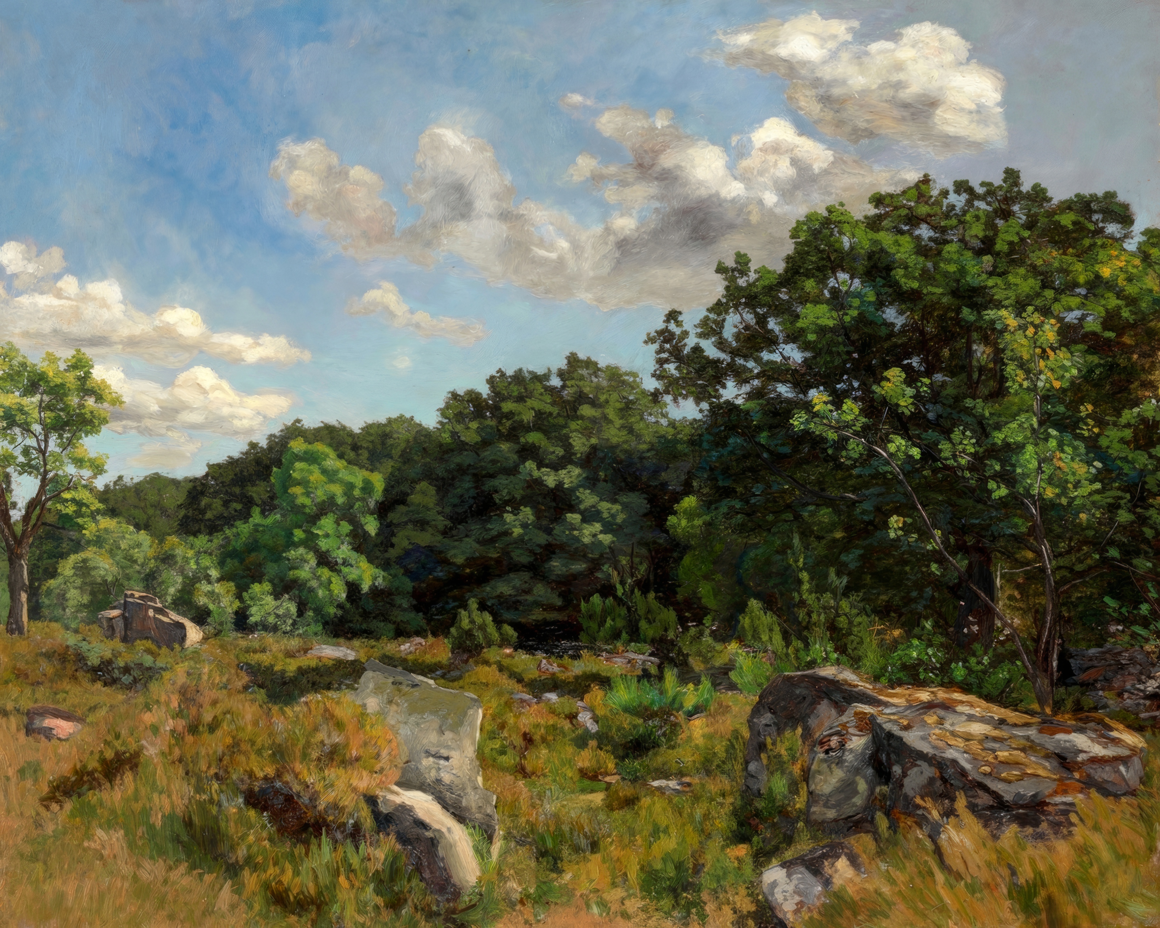 A sunlit path winding between rocks and tall trees in a forest clearing.