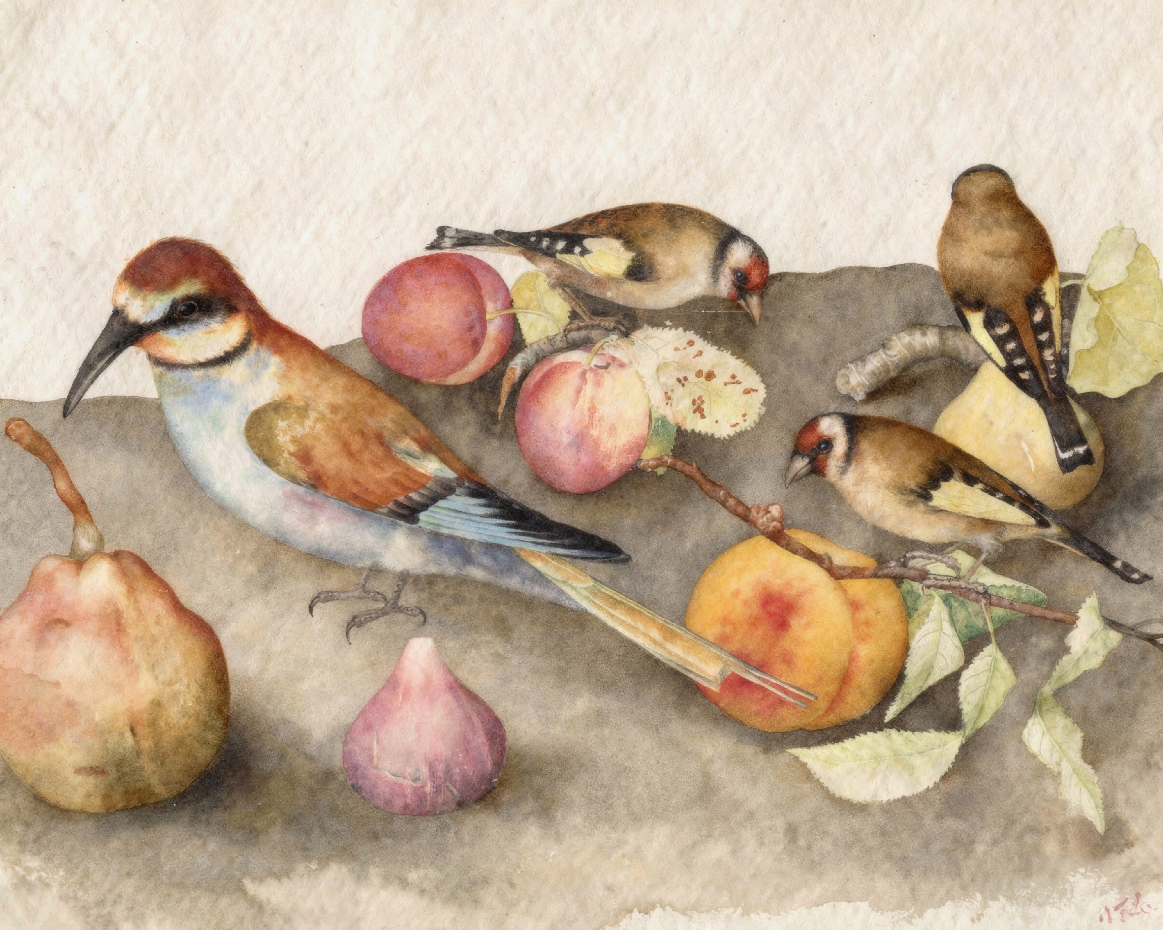A finch and a great tit perch among ripe cherries, with a canary below beside a cut pear and figs, on a pale ground.