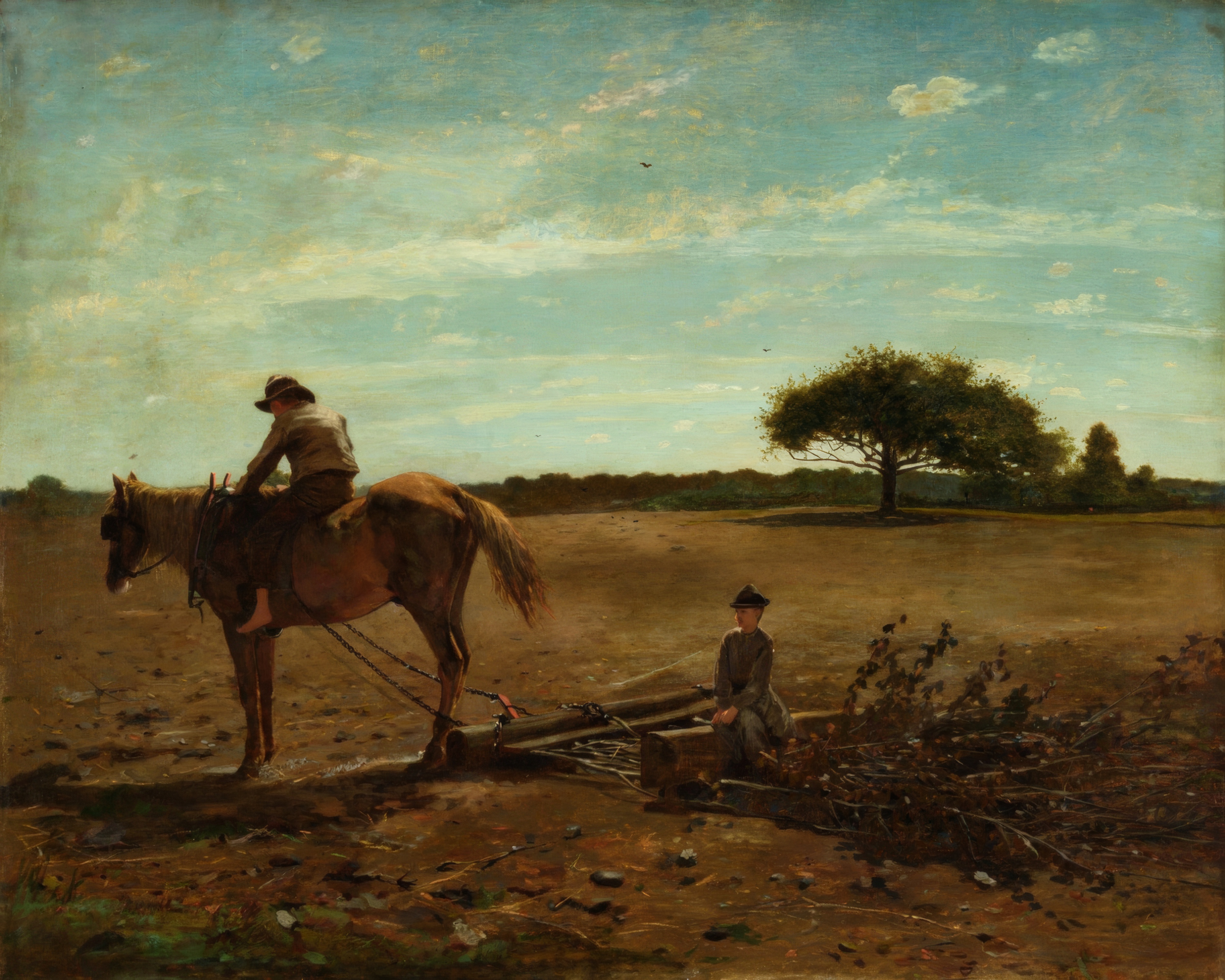 Two boys guide a horse and harrow across a field under a wide blue sky.