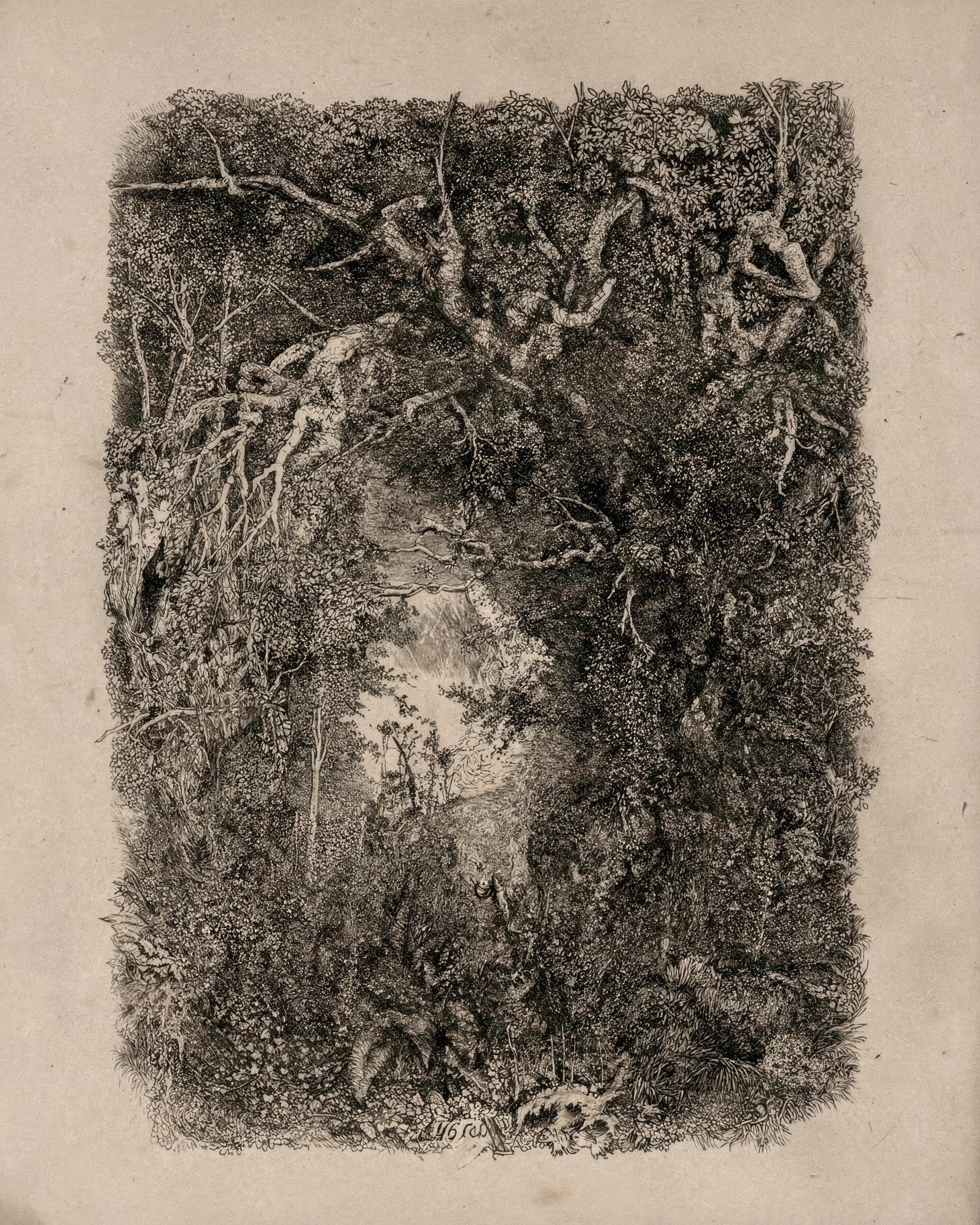 A pale woodland opening surrounded by intricately tangled branches in Fable’s edition of Bresdin’s Clearing in the Forest.
