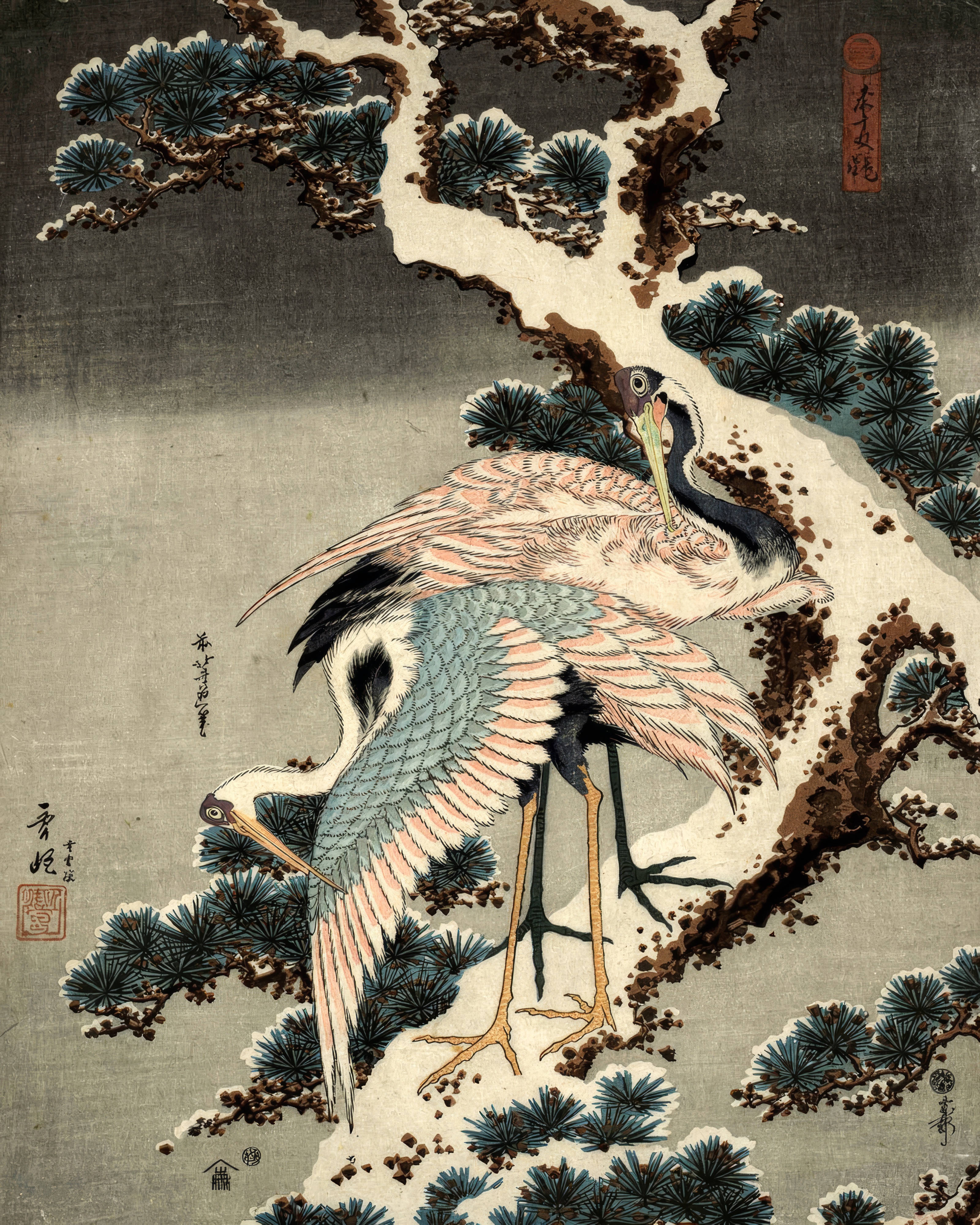 Two cranes perch on a thick pine branch heavy with snow.