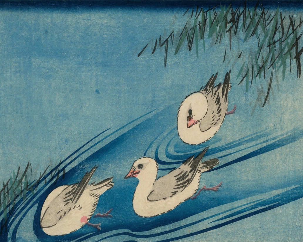 Two oystercatchers stand at the water’s edge against a sea of soft blue.