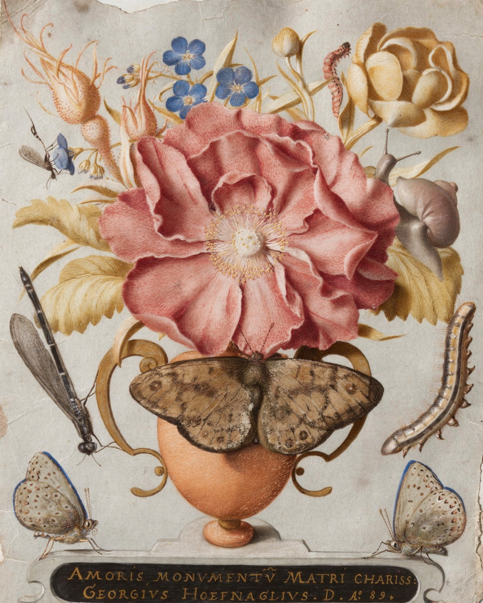 A large pink flower and smaller blooms rise from a vase decorated with a moth, surrounded by butterflies, a snail and insects, with a Latin inscription below.