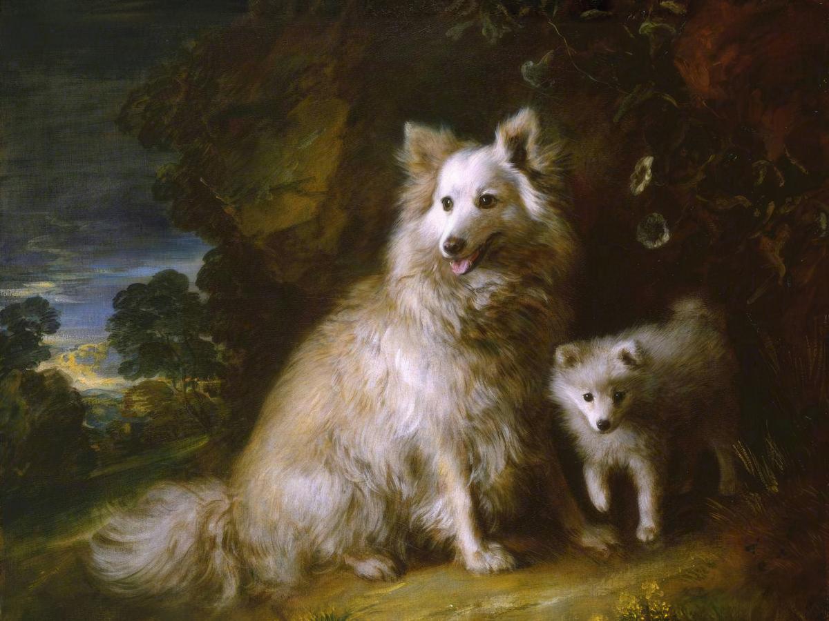 Pomeranian Bitch and Puppy · Pets pet portrait — custom painted portrait by Fable