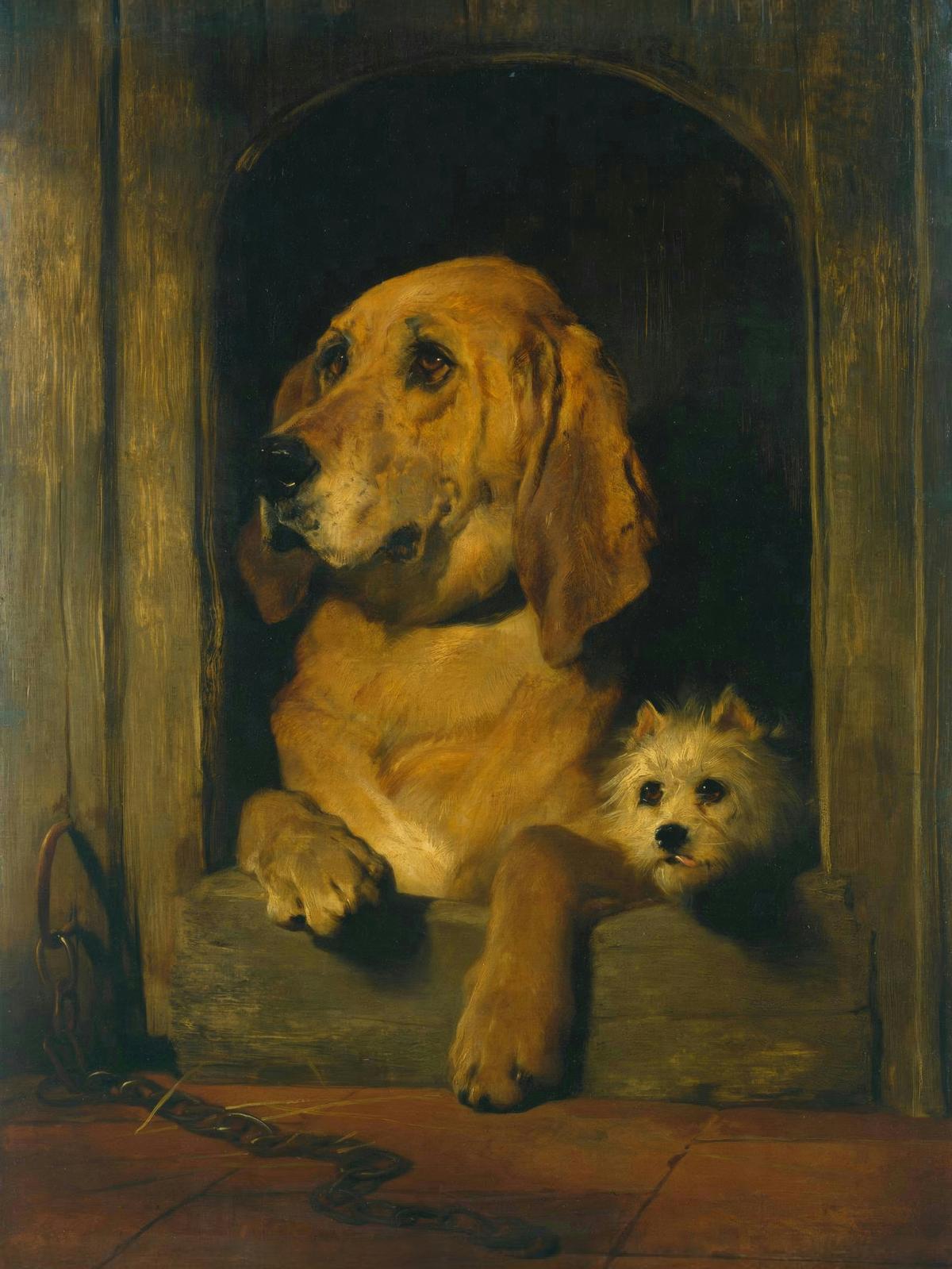 Dignity and Impudence · Pets pet portrait — custom painted portrait by Fable