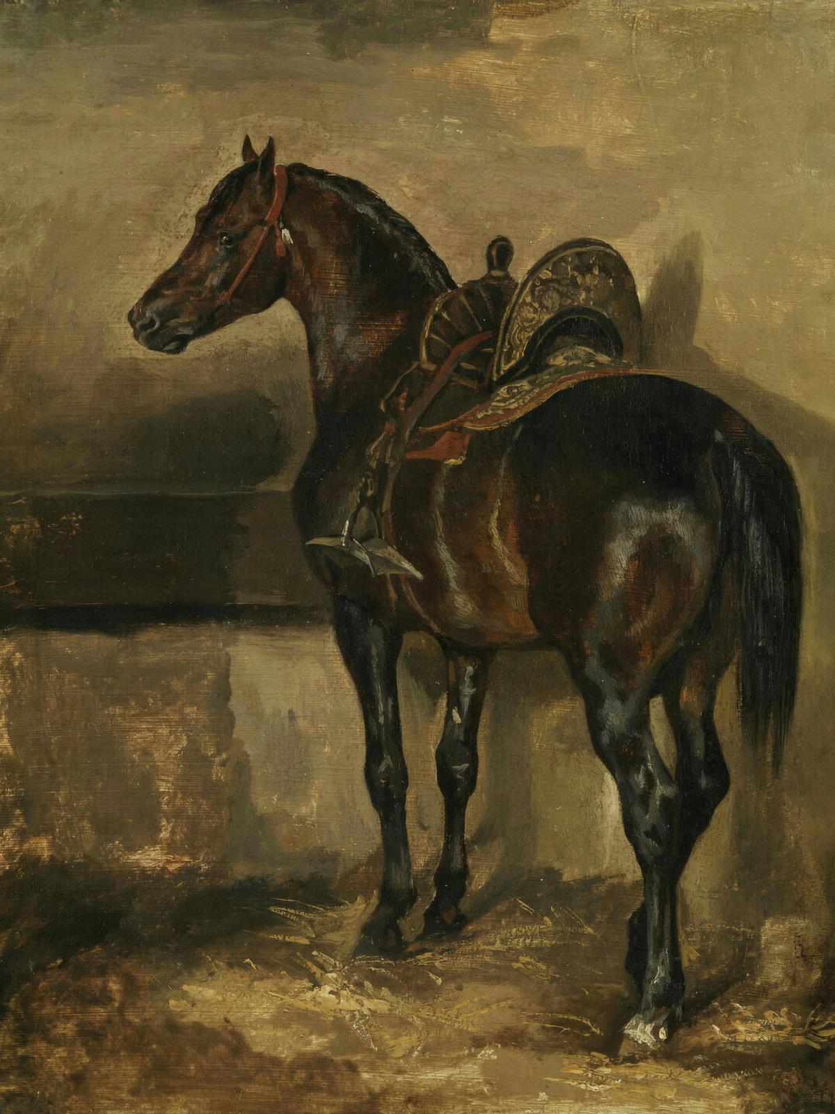 Turkish Horse in a Stable · Pets pet portrait — custom painted portrait by Fable