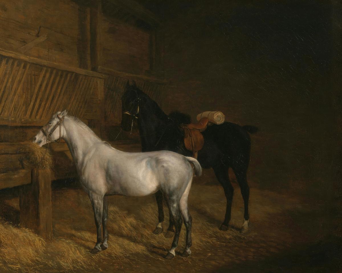 A Grey Pony and a Black Charger in a Stable · Pets pet portrait — custom painted portrait by Fable