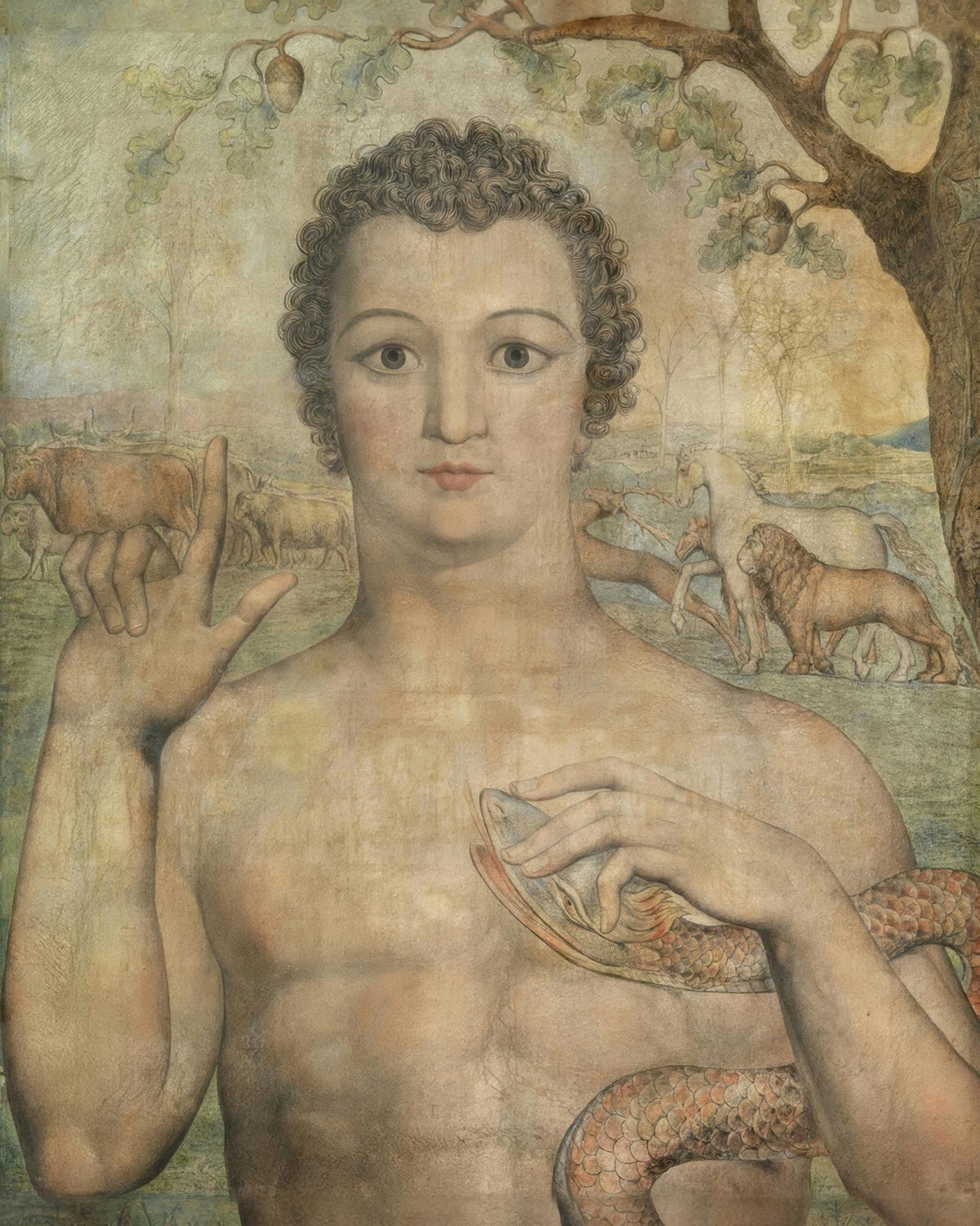 Adam Naming the Beasts by William Blake — archival fine-art print from Fable