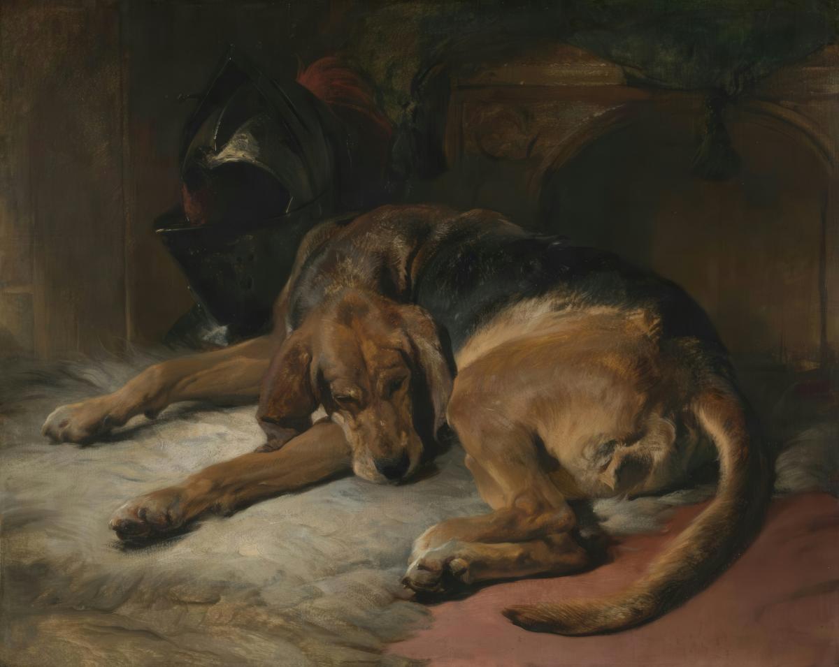 Sleeping Bloodhound · Pets pet portrait — custom painted portrait by Fable